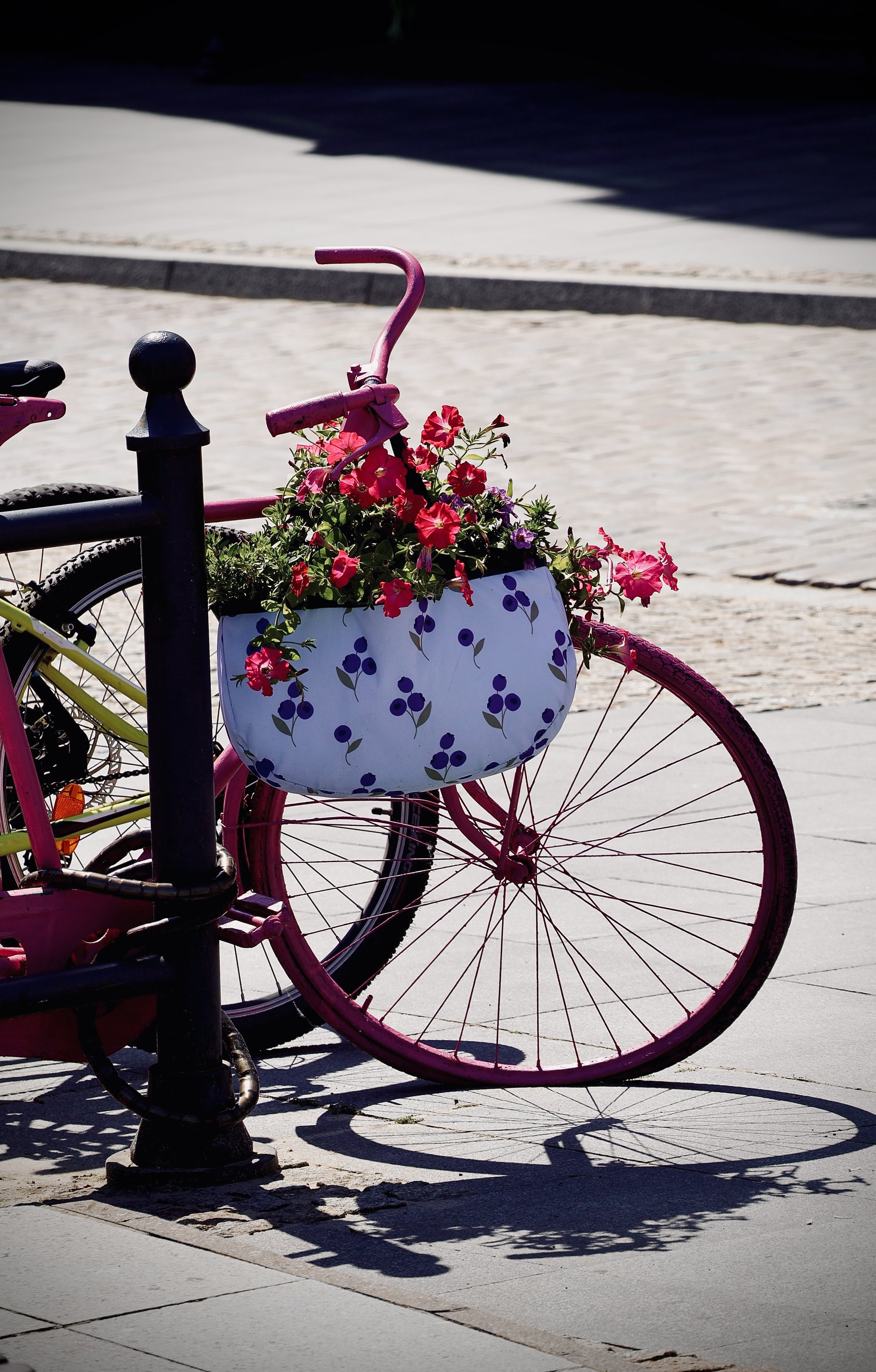 Pink bicycle with a white basket filled with colorful flowers, locked to a black bike rack on a sunny sidewalk.