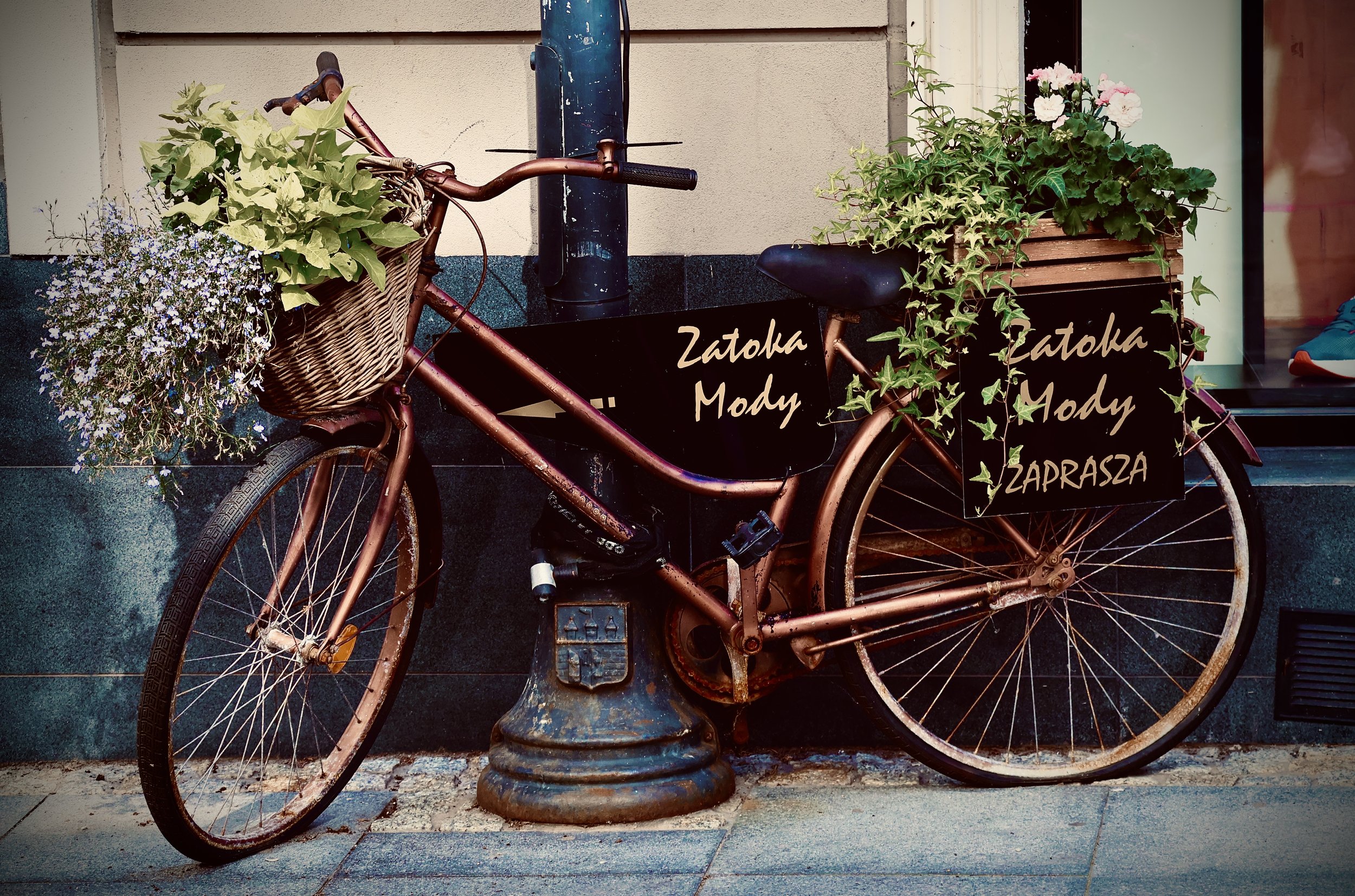 A copper-colored bicycle with a wicker basket filled with greenery and small purple and white flowers, positioned in front of a beige wall with a blue pole. The bike has a black seat and a sign with the words 'Zatoka Mody Zaprasza' attached to the re