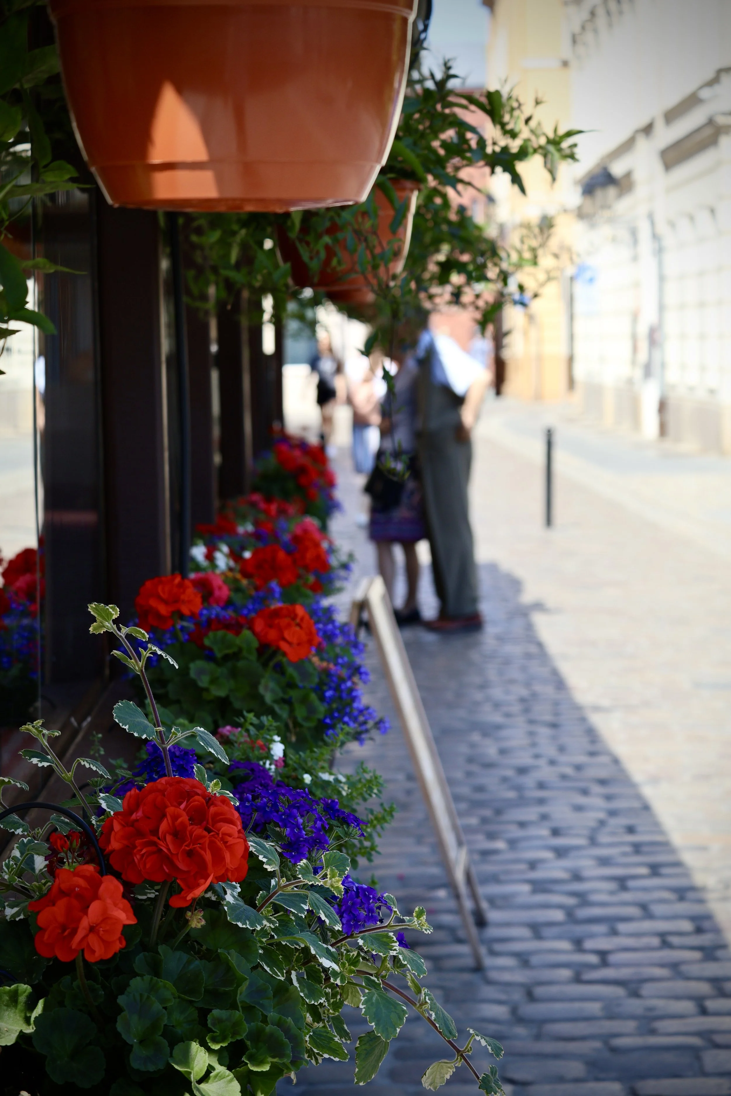 Street scene with hanging flower pots filled with red and purple flowers, cobblestone sidewalk, blurred people walking and historic buildings in the background.