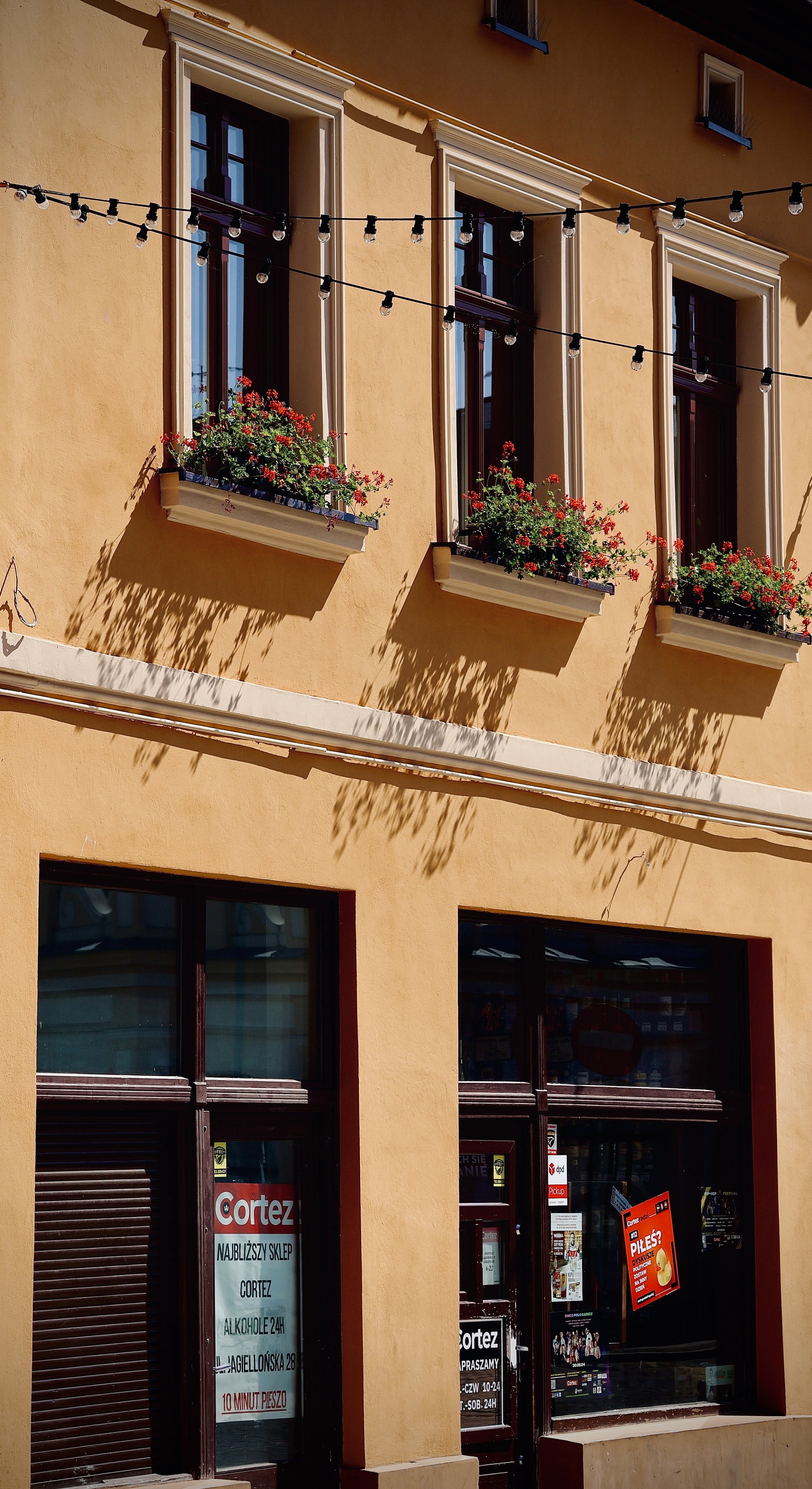 The image shows a yellow building with three large windows on the upper floor, each adorned with window boxes filled with red flowers. String lights are hung across the building in front of the windows, casting shadows on the wall.