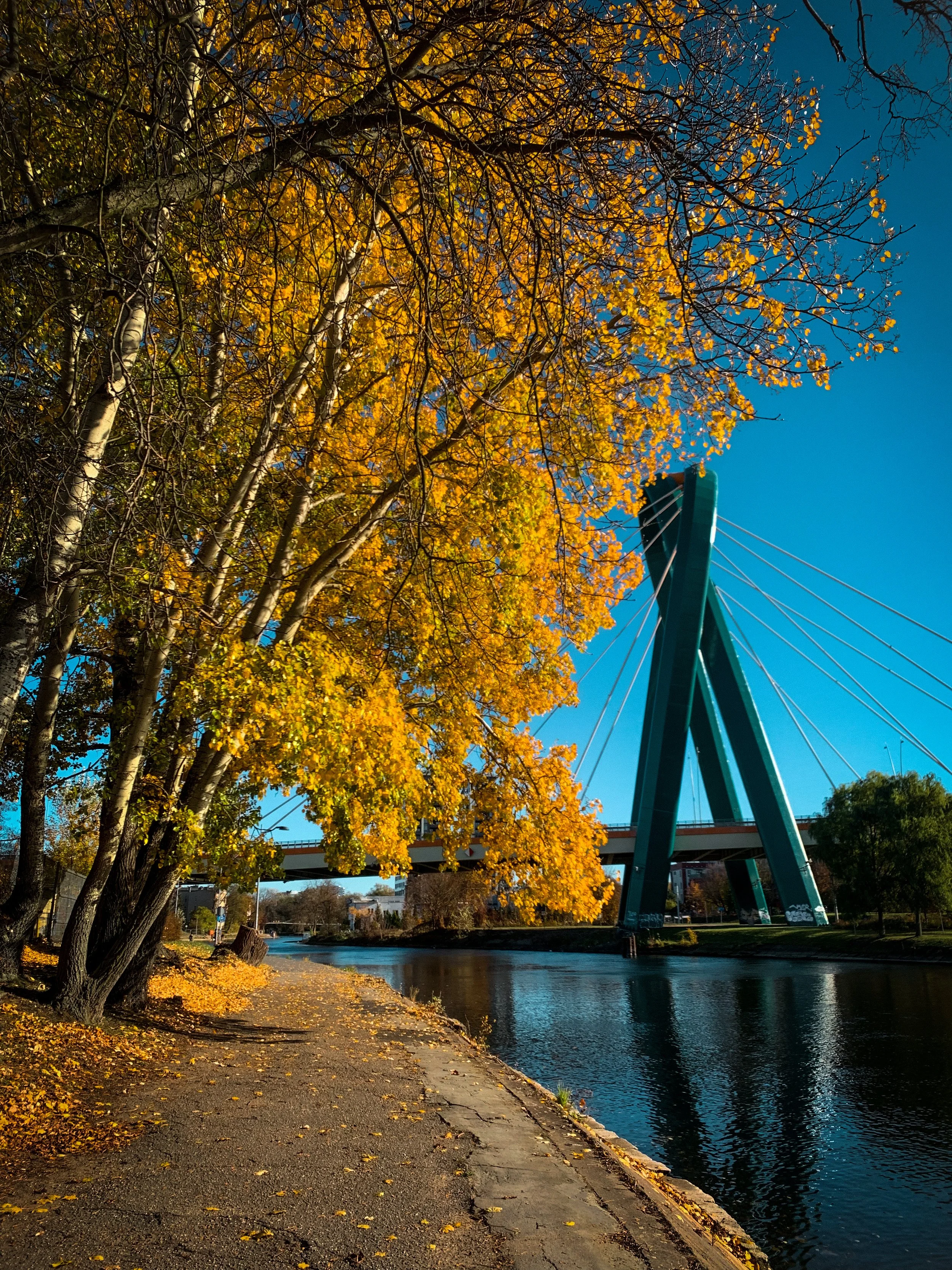 A riverside scene with autumn trees displaying yellow and orange leaves, a walking path covered with fallen leaves, and a teal-colored bridge in the background under a clear blue sky.