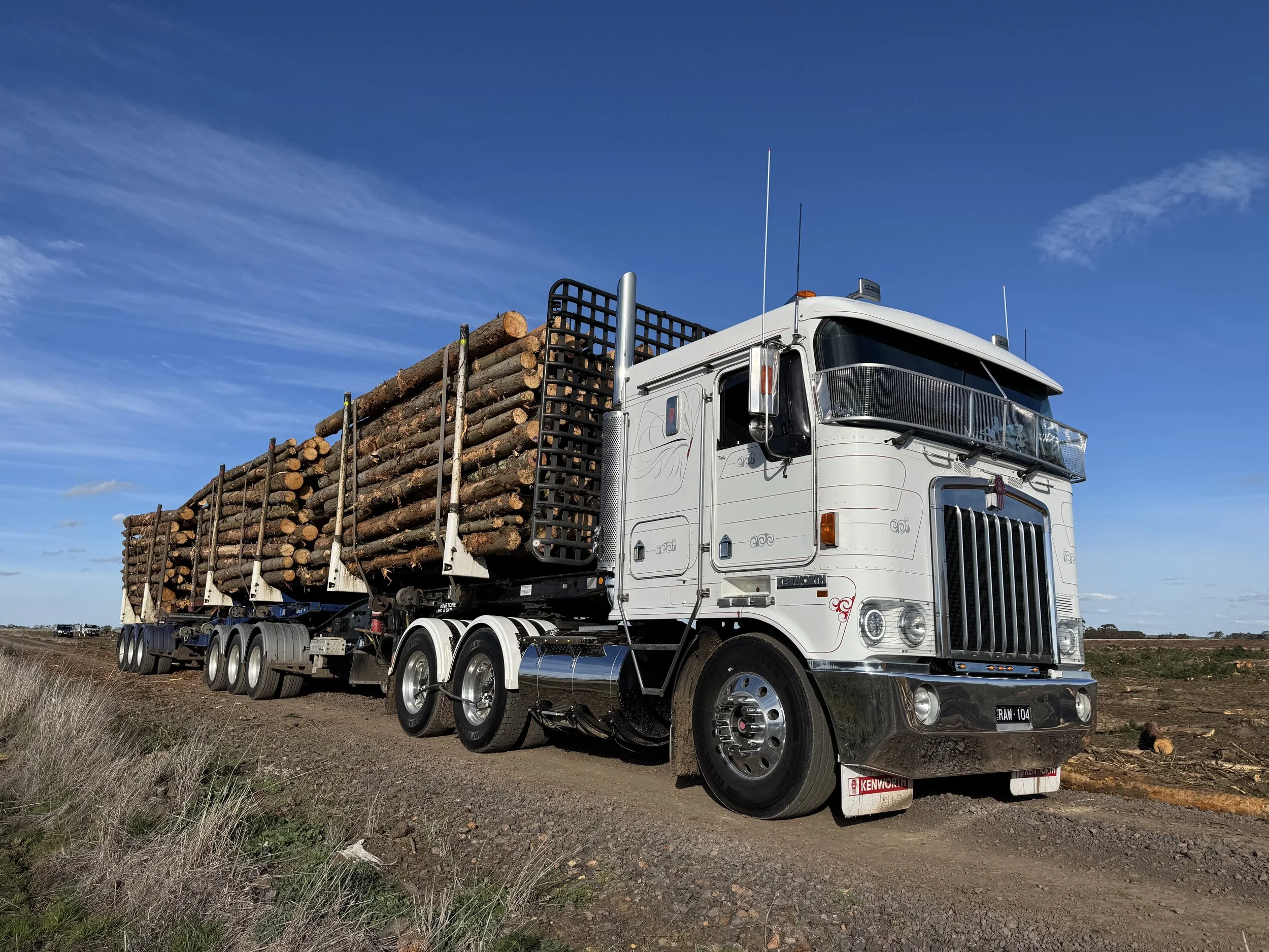 Logging Services