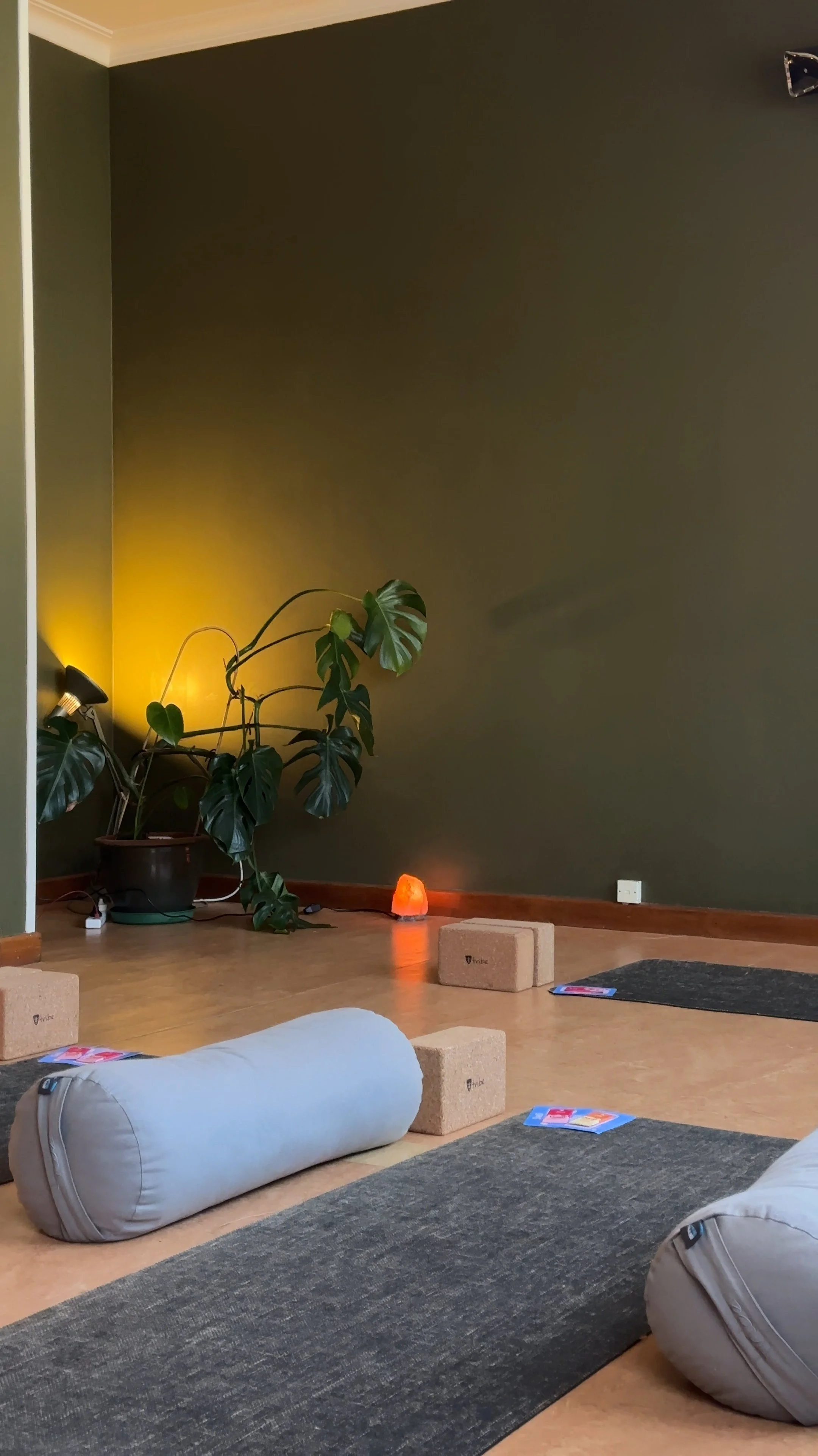 Empty yoga or meditation room with gray mats, large cylindrical bolster, yoga blocks, a salt lamp, potted monstera plant, and a soft yellow light in a cozy corner.