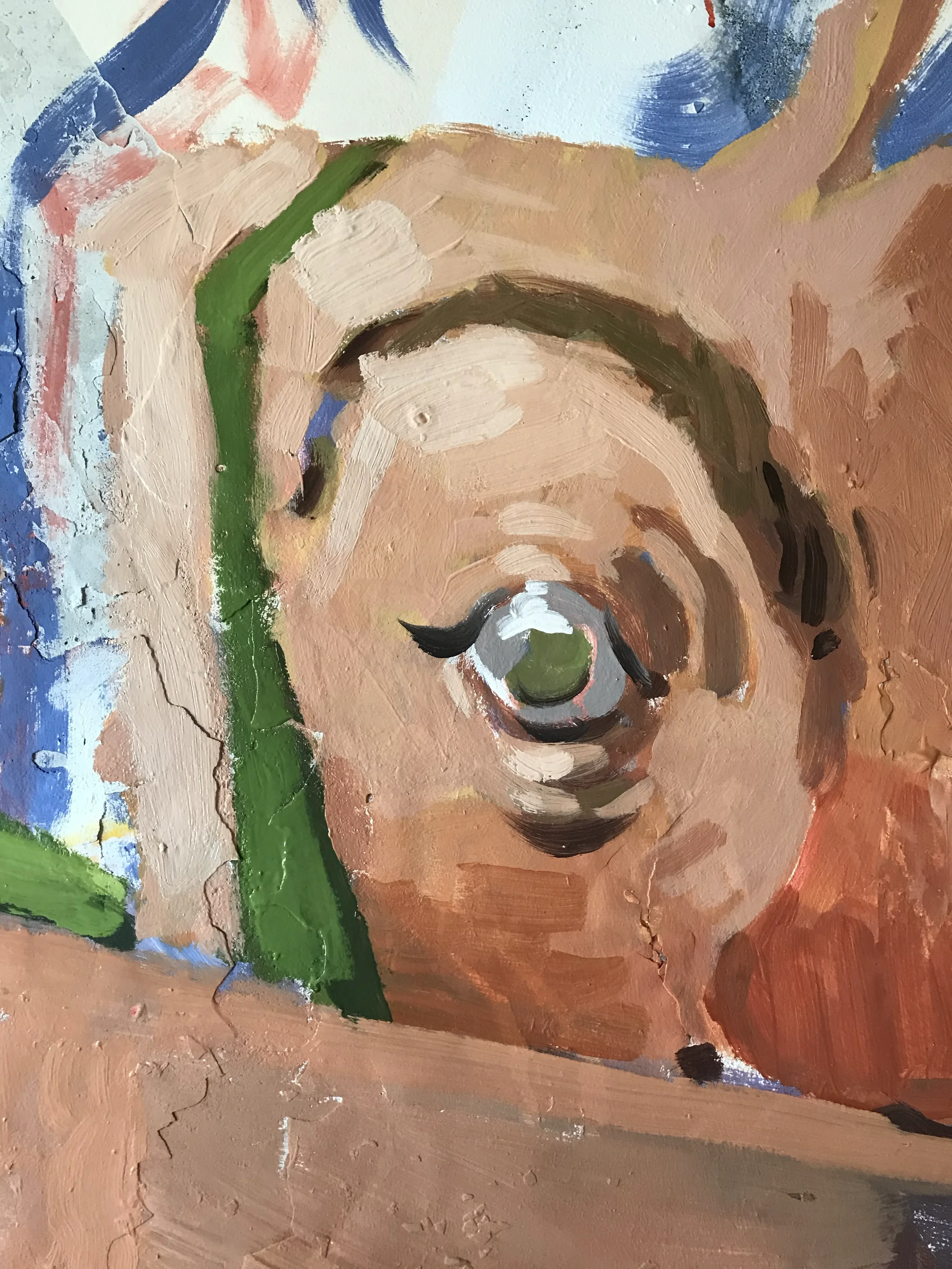 Pintada 5.webp