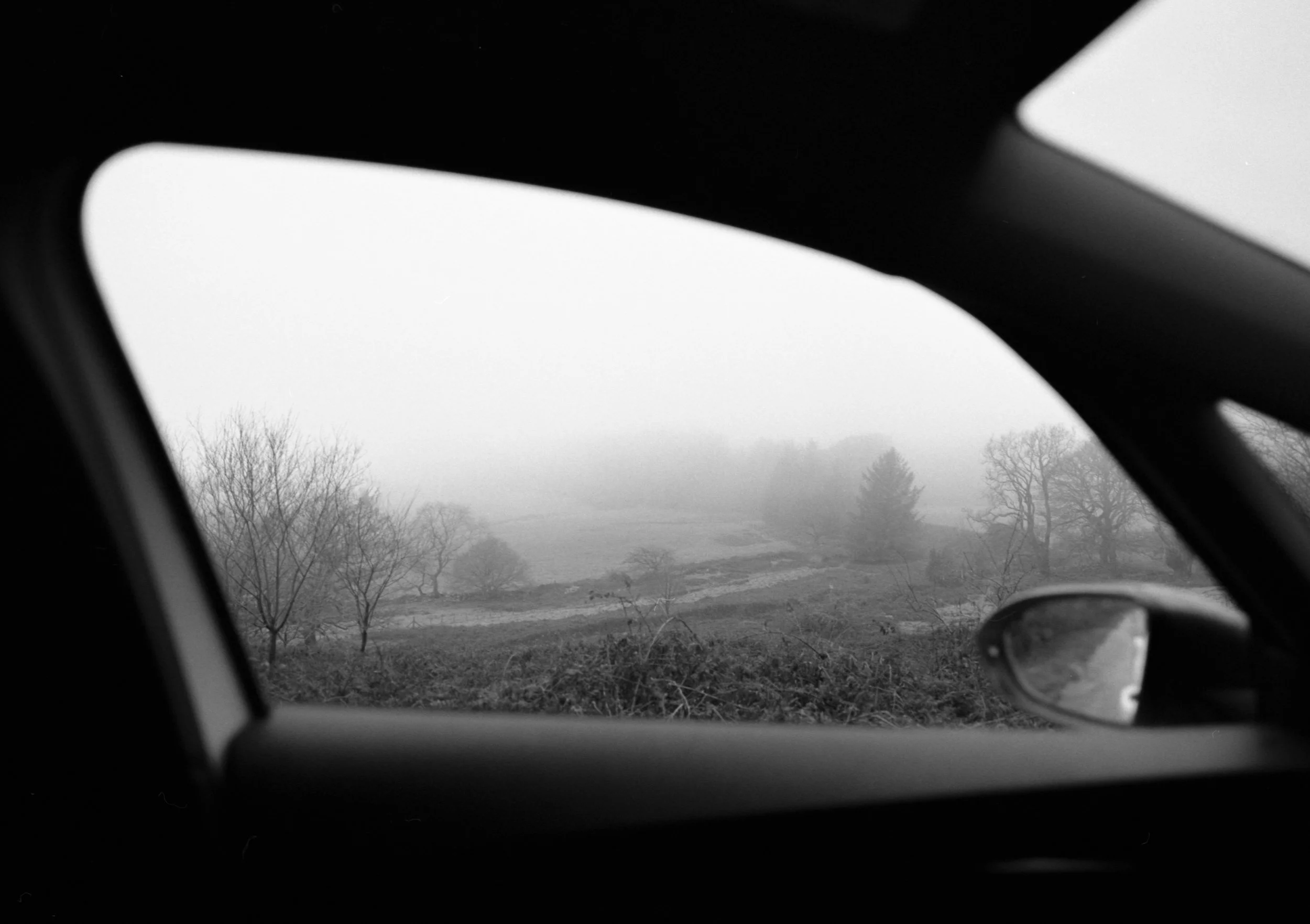 A View from My Window / Twmbarlwm, 2025