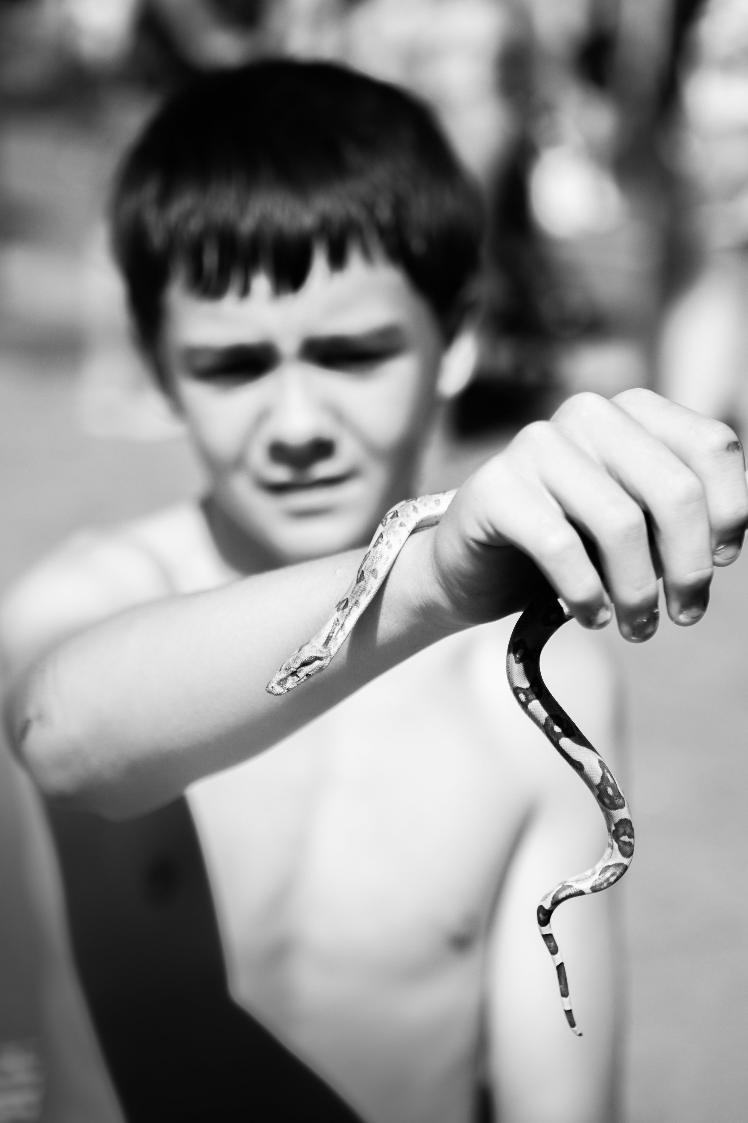 The Boy with a Snake / Pill Carnival 2025