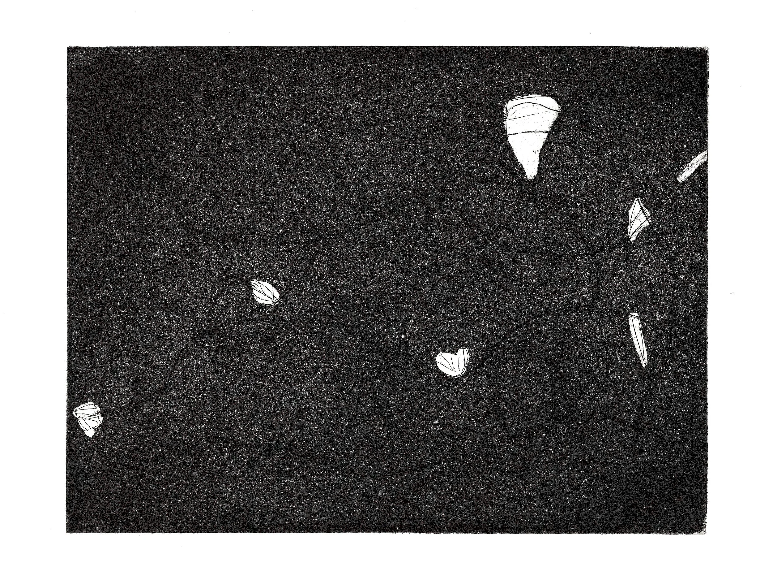A FIXED DELIGHT, 2026, Etching on paper, 15cm x 20cm