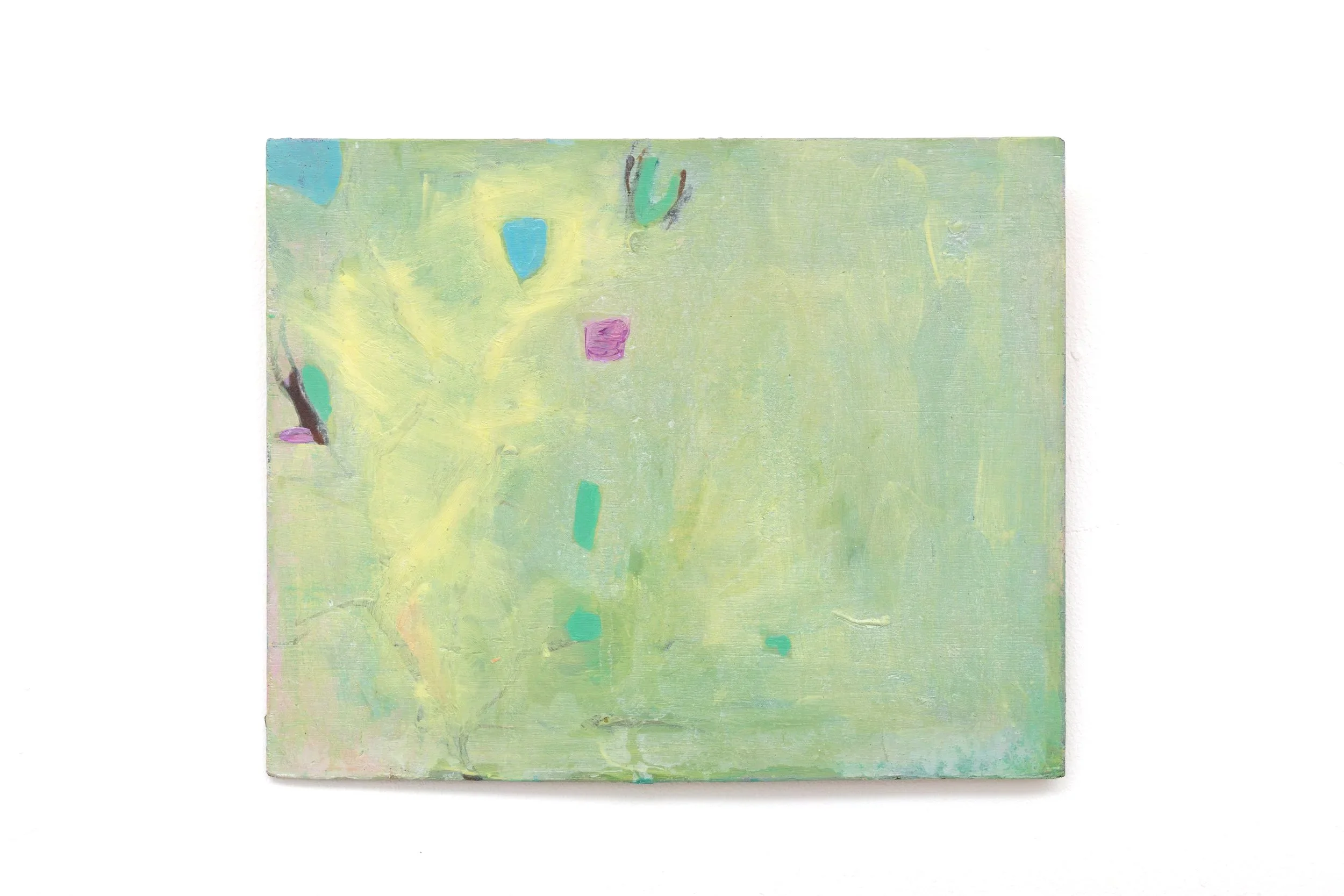A FIXED DELIGHT I,  2026,

Oil, acrylic, ink and pastel on plywood
19cm x 22cm