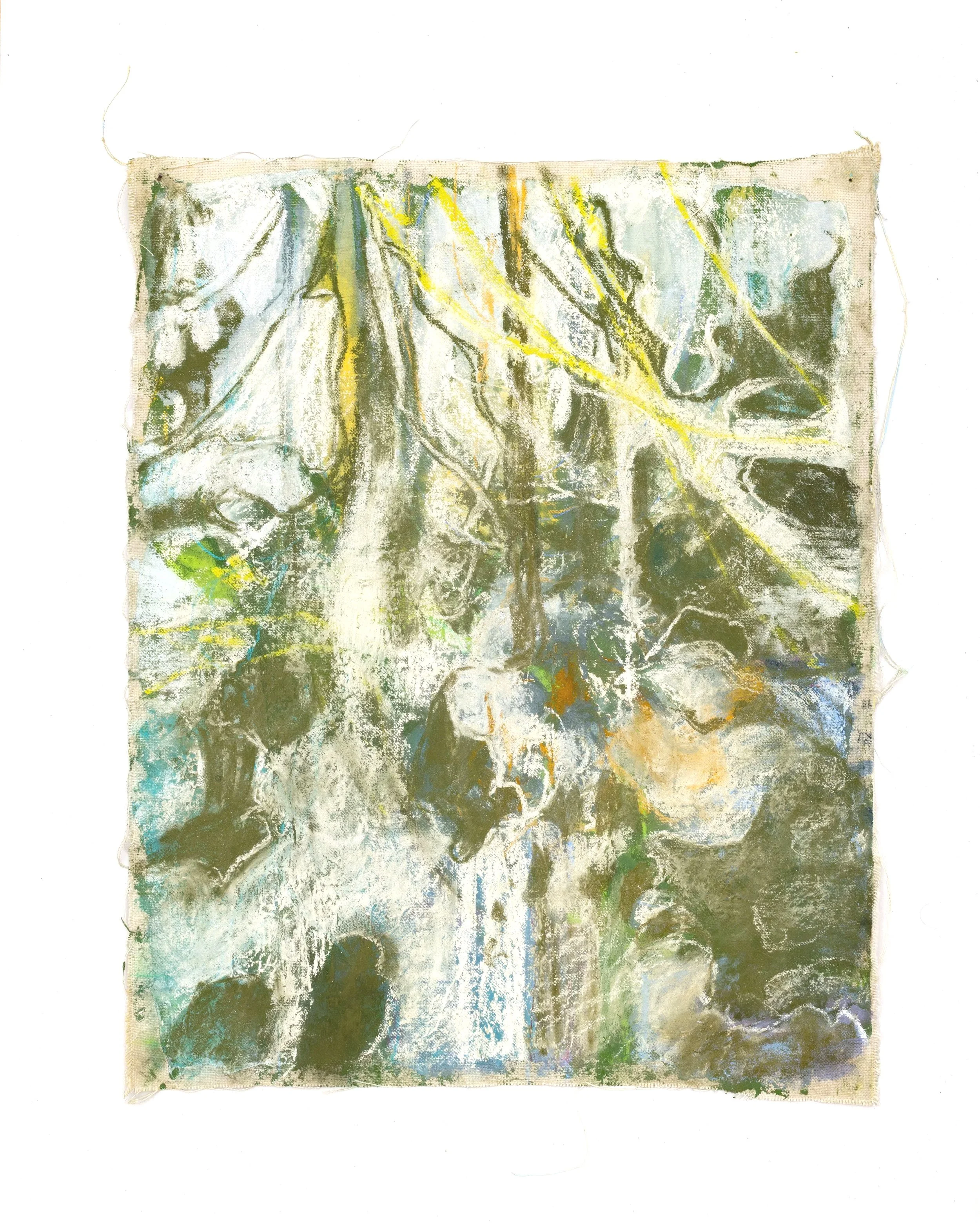 HIBISCUS AND SHADOWS, 2026, Soft pastel, acrylic and pigment on canvas, 46cm x 37cm 