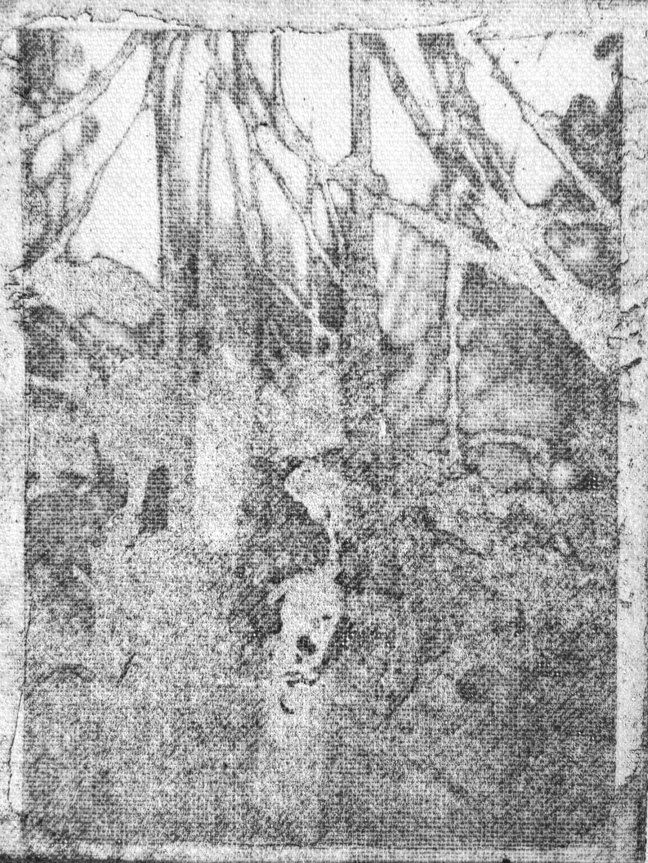 HIBISCUS AND SHADOWS 2025, Etching on canvas, 15cm x 12cm
