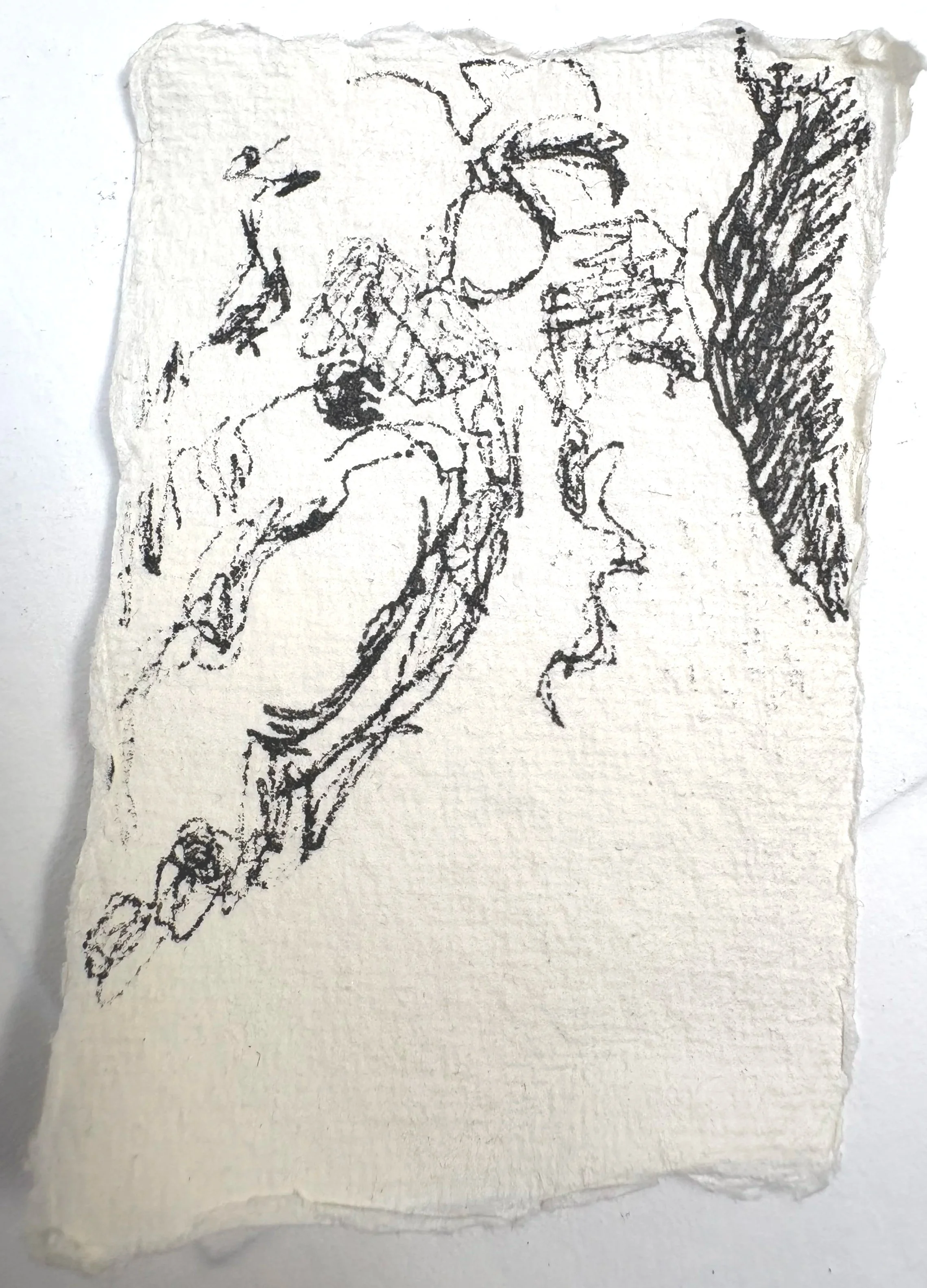 TREE, KENNINGTON SERIES, 2026, Ink on paper, 8cm x 5cm