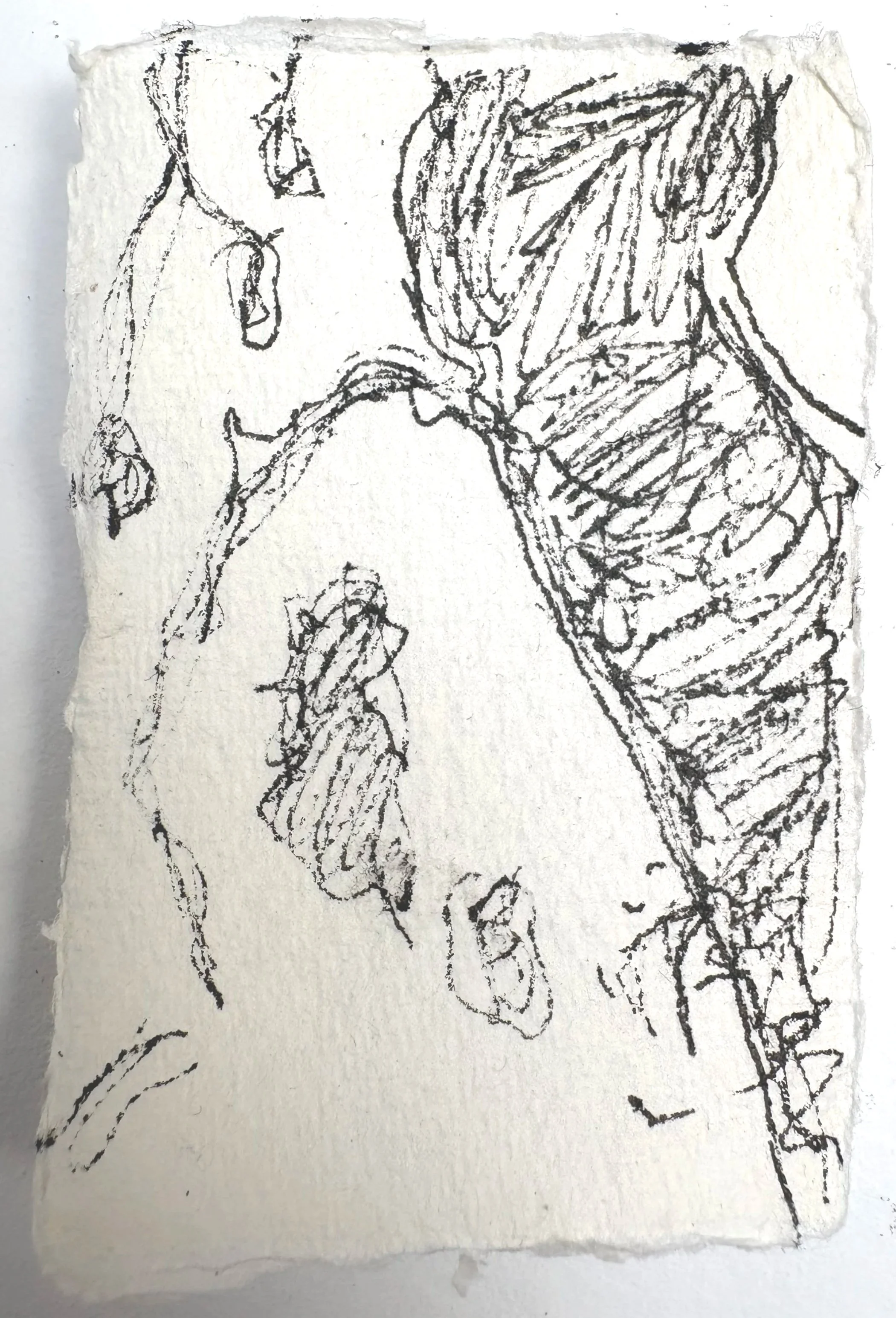 TREE, KENNINGTON SERIES, 2026, Ink on paper, 8cm x 5cm