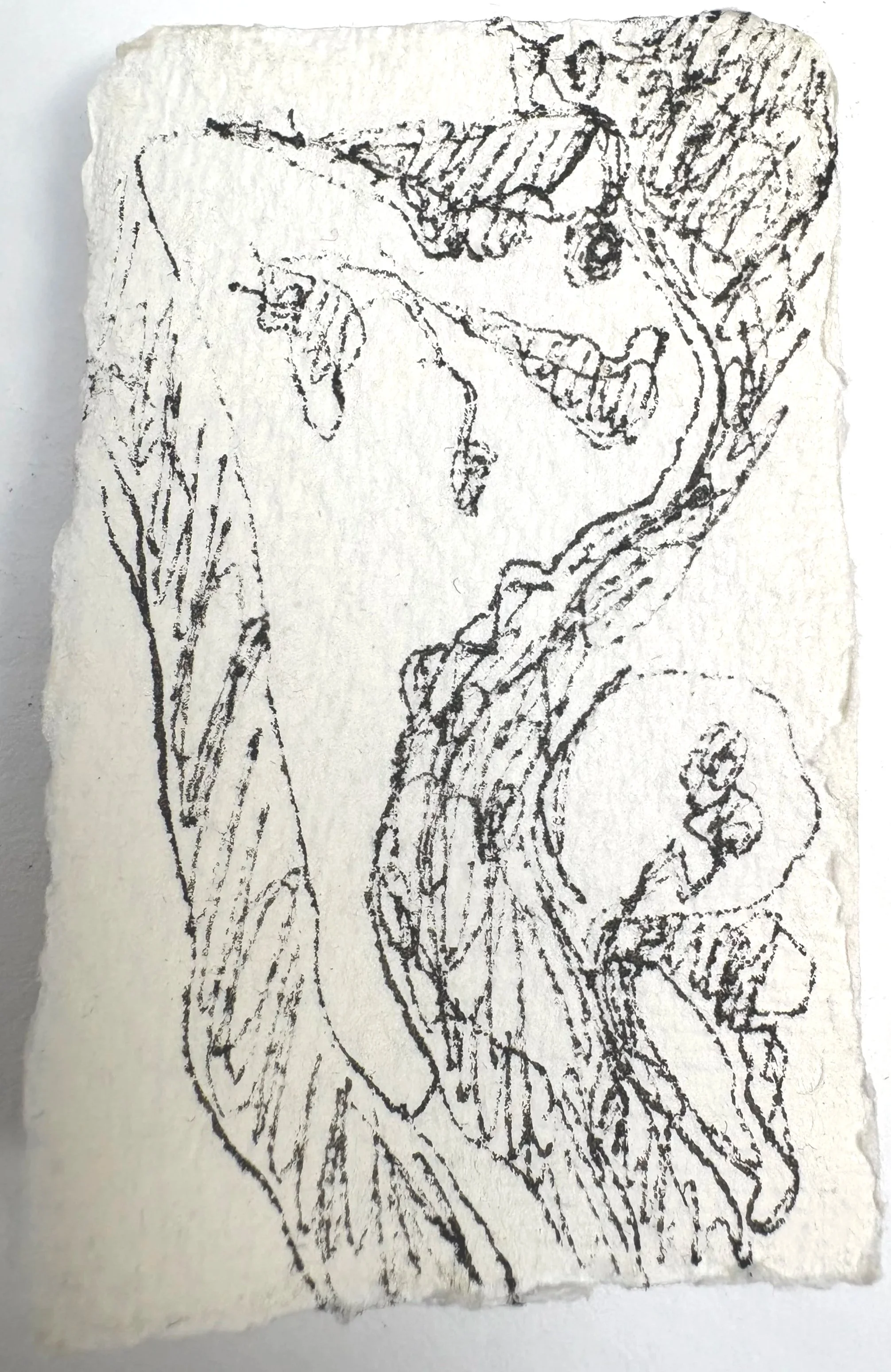 TREE, KENNINGTON SERIES, 2026, Ink on paper, 8cm x 5cm
