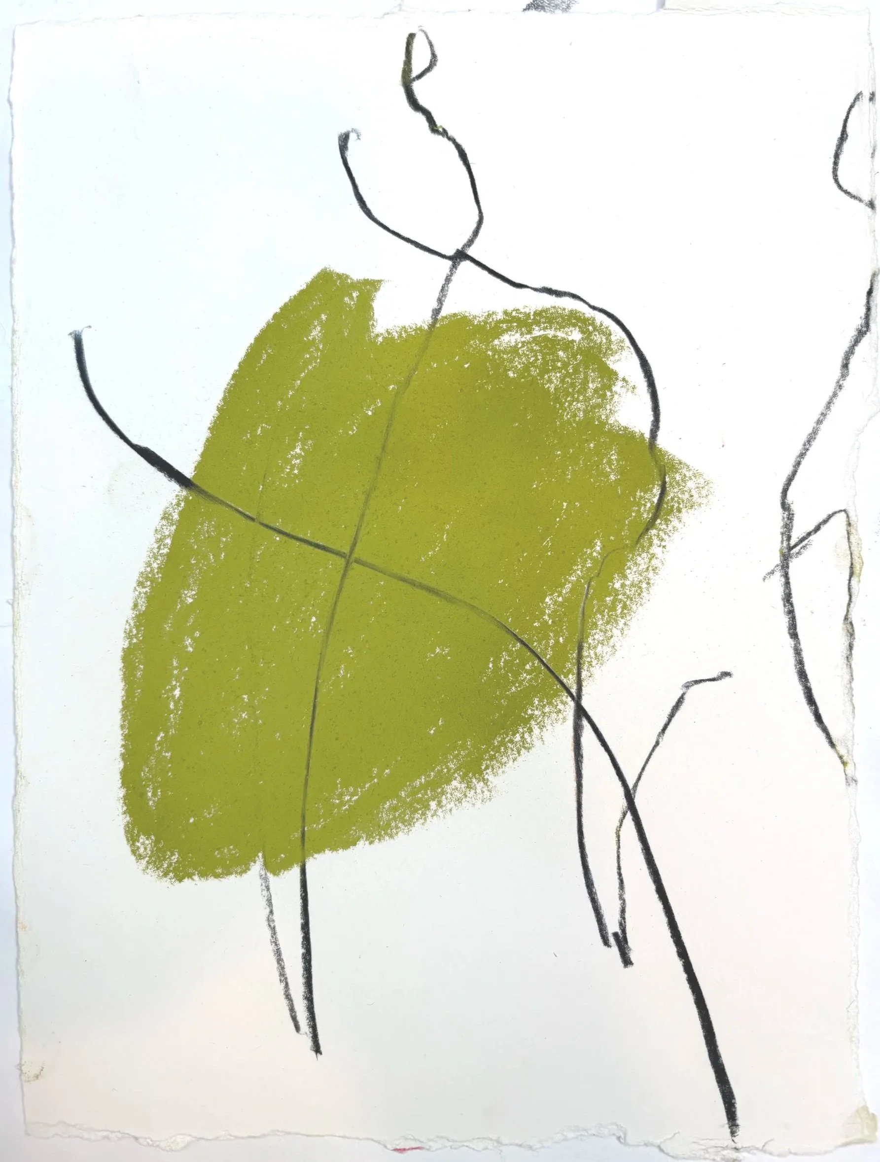 GREEN STUDY, 2026, Charcoal and pastel, 26cm x 19cm