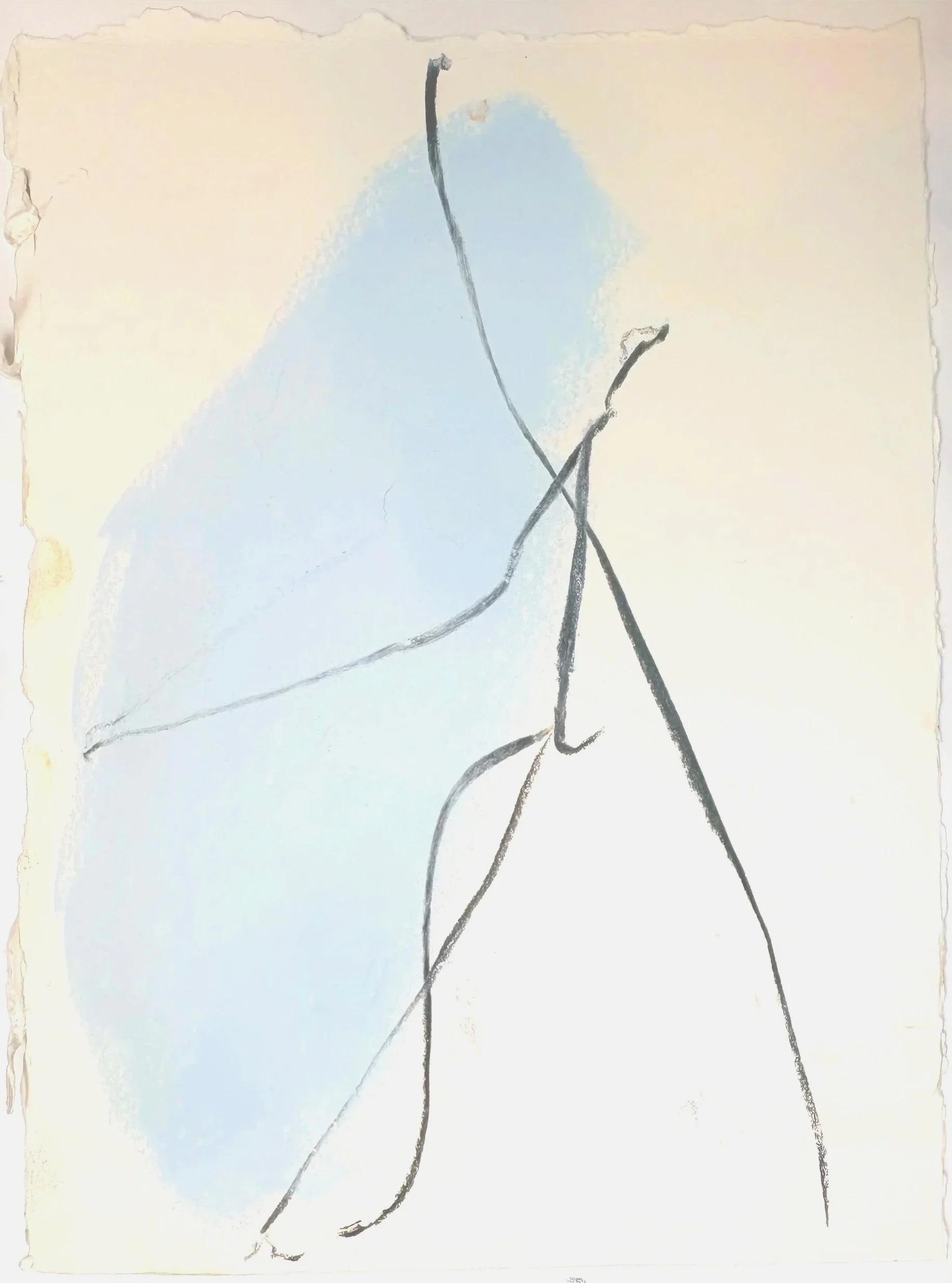 BLUE STUDY, 2026, Charcoal and pastel, 26cm x 19cm