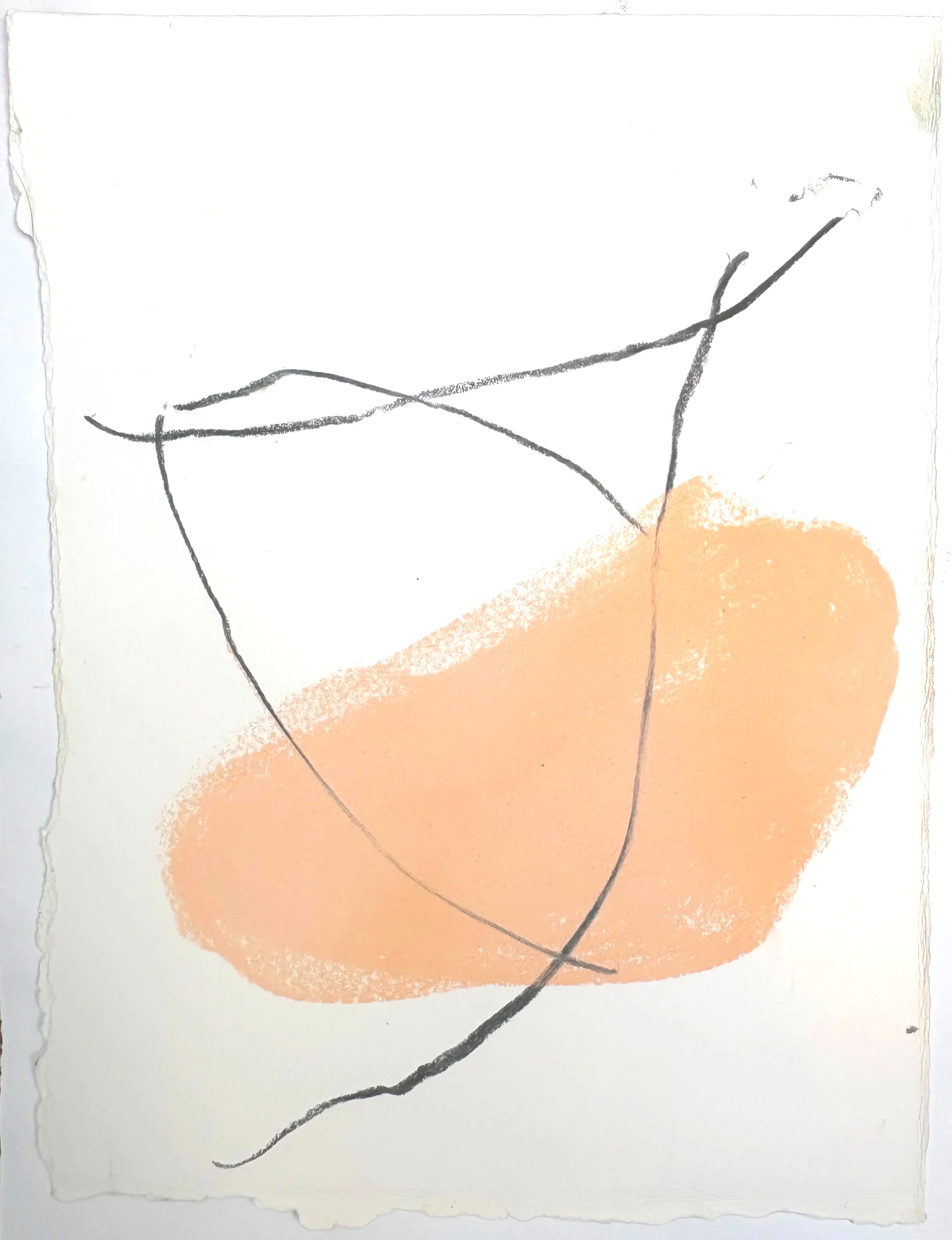 ORANGE STUDY, 2026, Charcoal and pastel, 26cm x 19cm