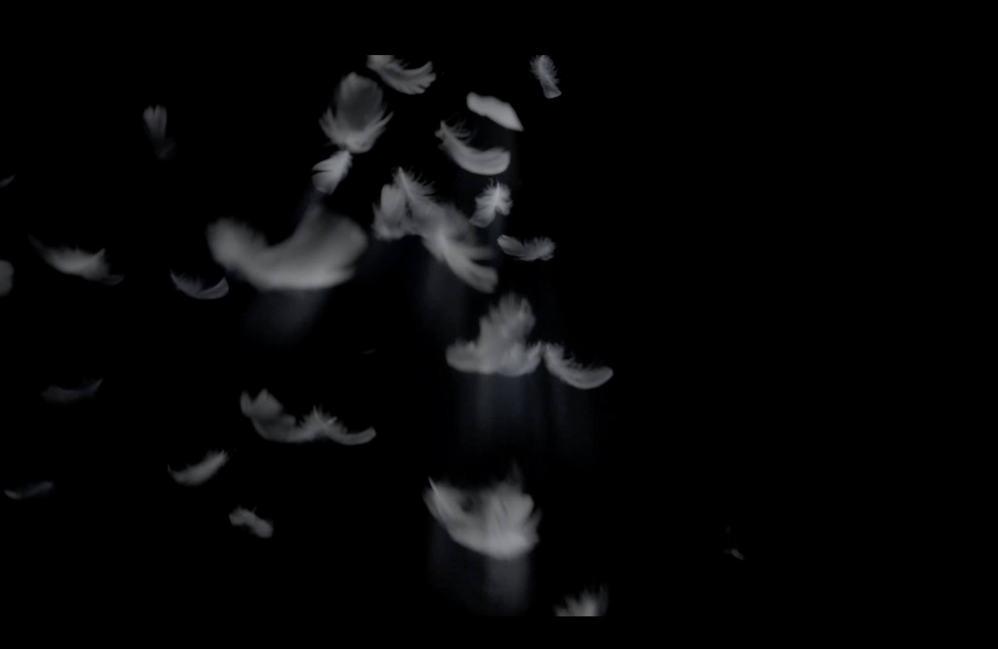 Fashion Film Short