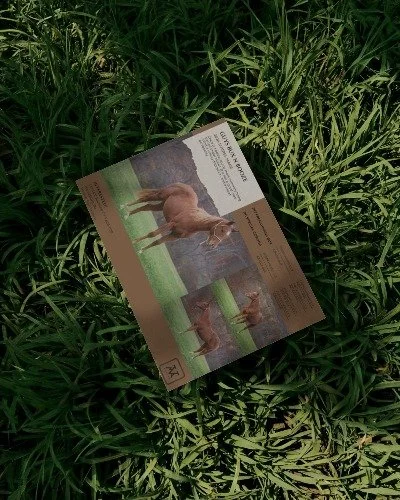 outdoor-grass-texture-flyer-mockup-for-environmental-campaign-design-0521.jpg
