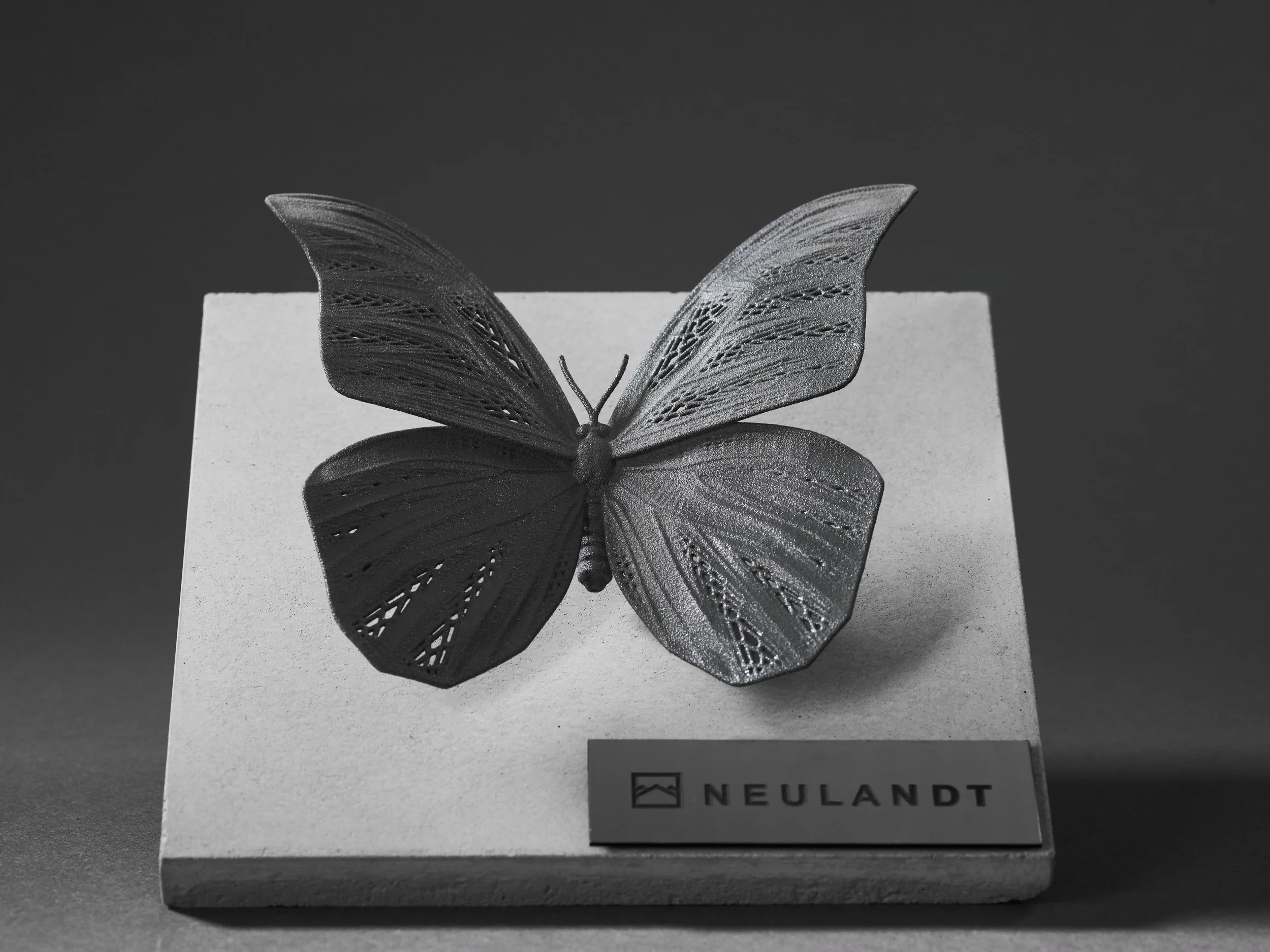 Additiv gefertigter Schmetterling aus Polyamid PA12 im SLS-Verfahren
