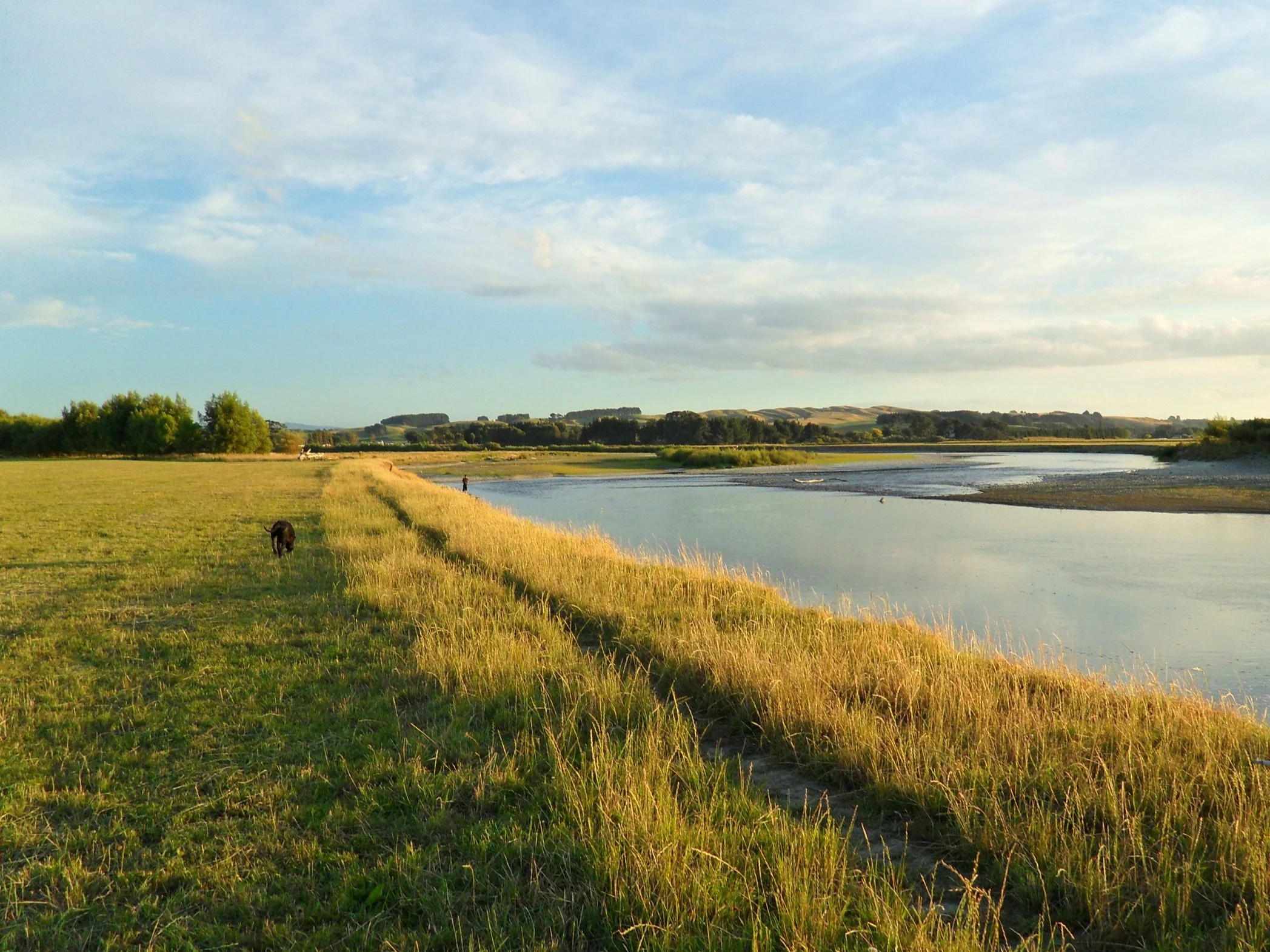 Scenic landscape featuring a grassy riverbank with a dog, trees in the background, a calm river, rolling hills, and a sky with scattered clouds in the distance.