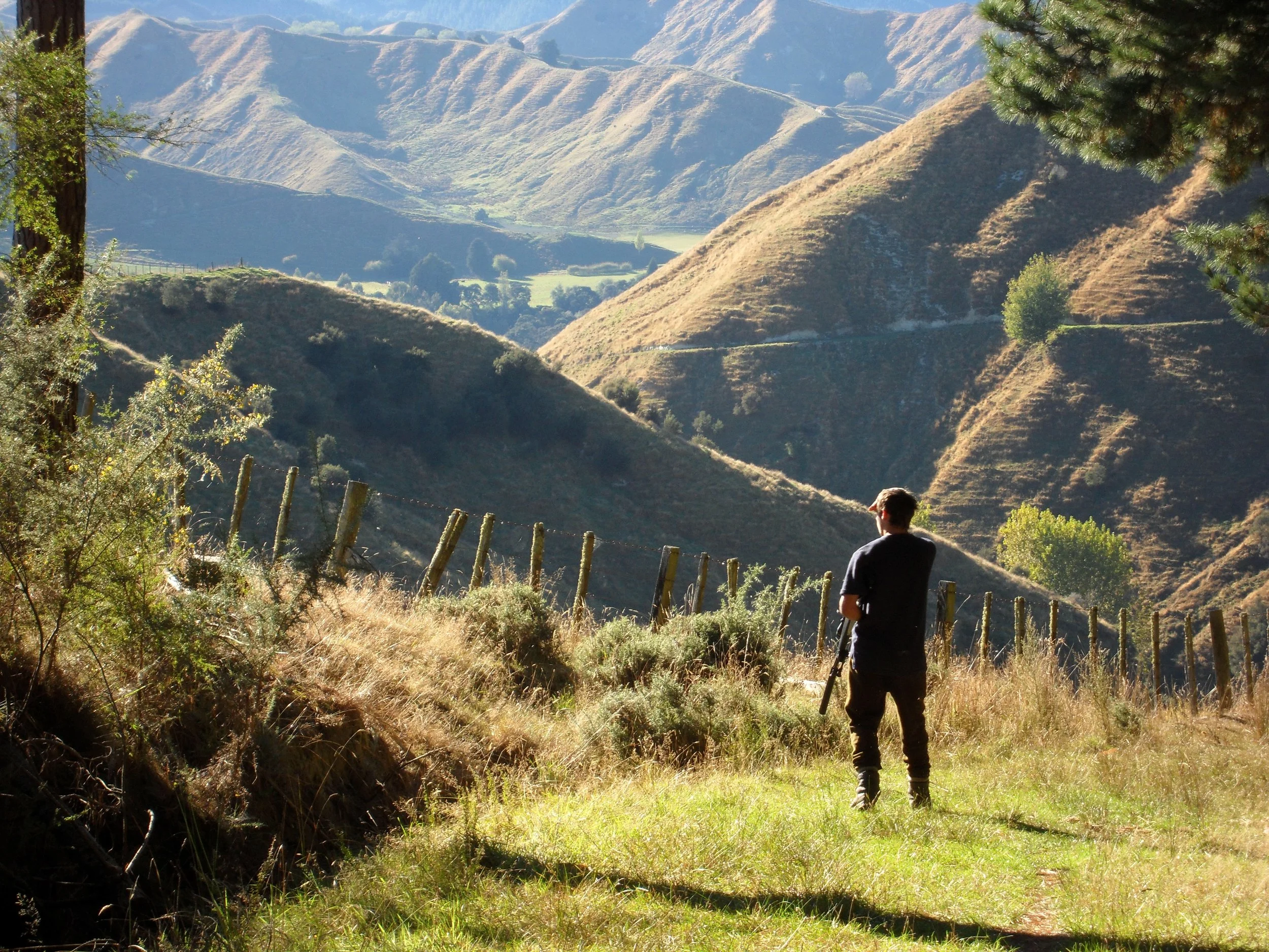 A person with a camera on a tripod walking through a grassy field toward rolling hills and mountains in the distance, with trees on the right and left edges of the image.