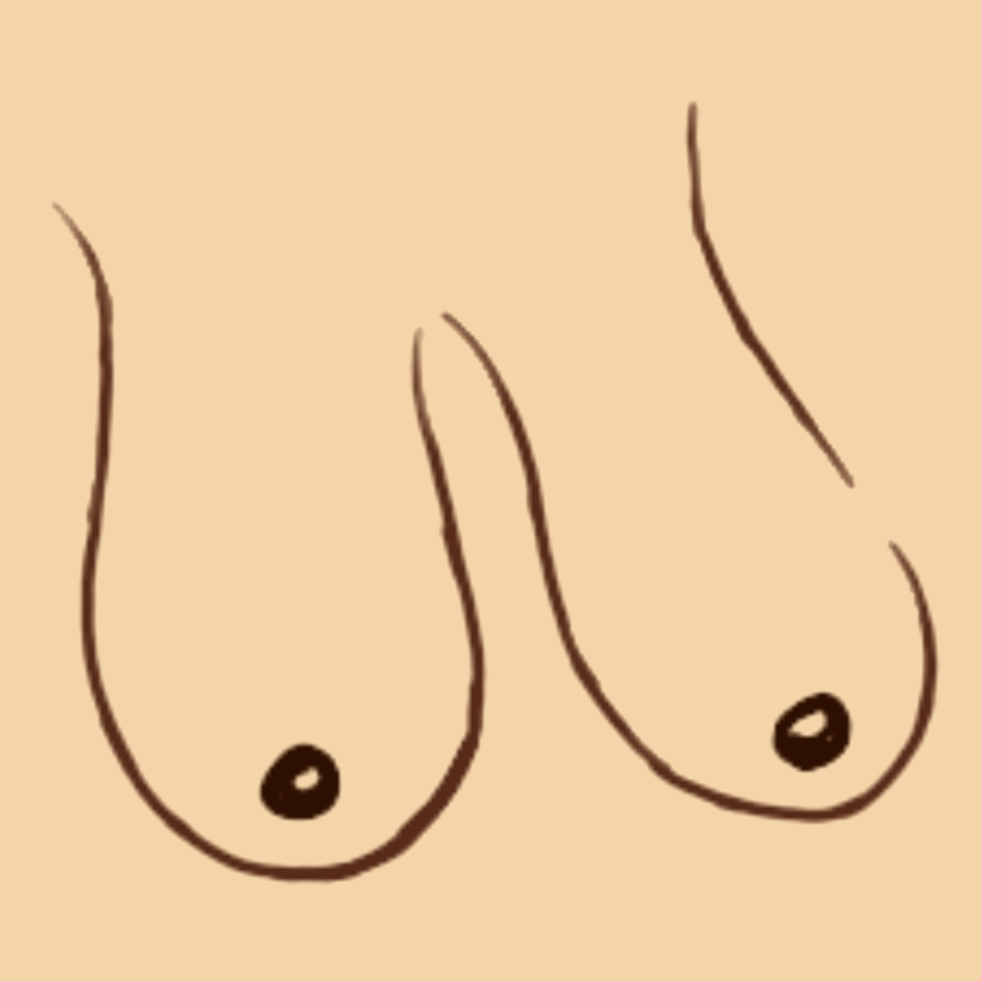A drawn image of breasts