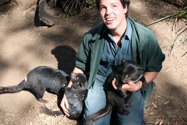 Greg Irons with Baby Tasmanian Devils climbing on him