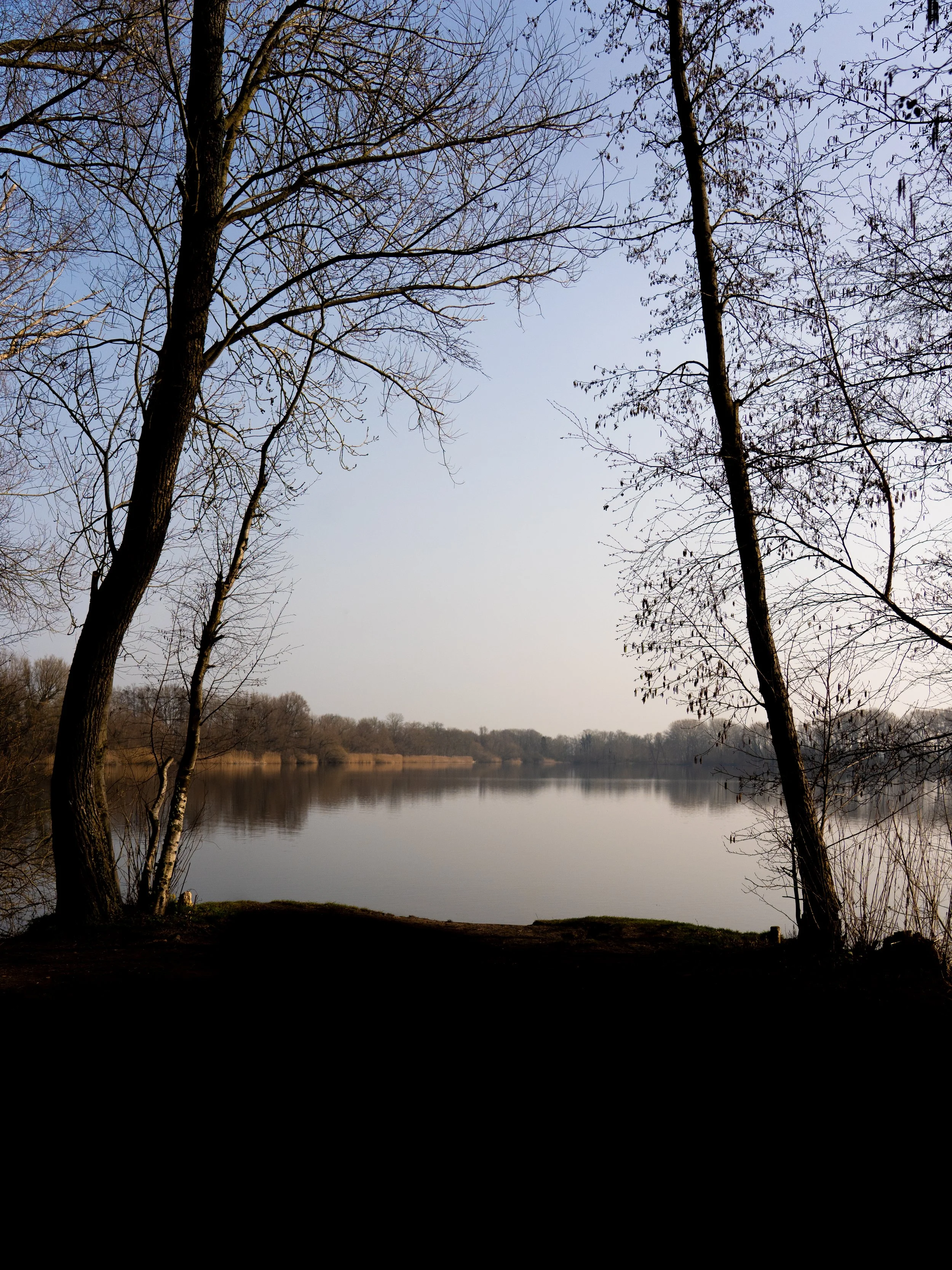 _DSC0843.jpg
