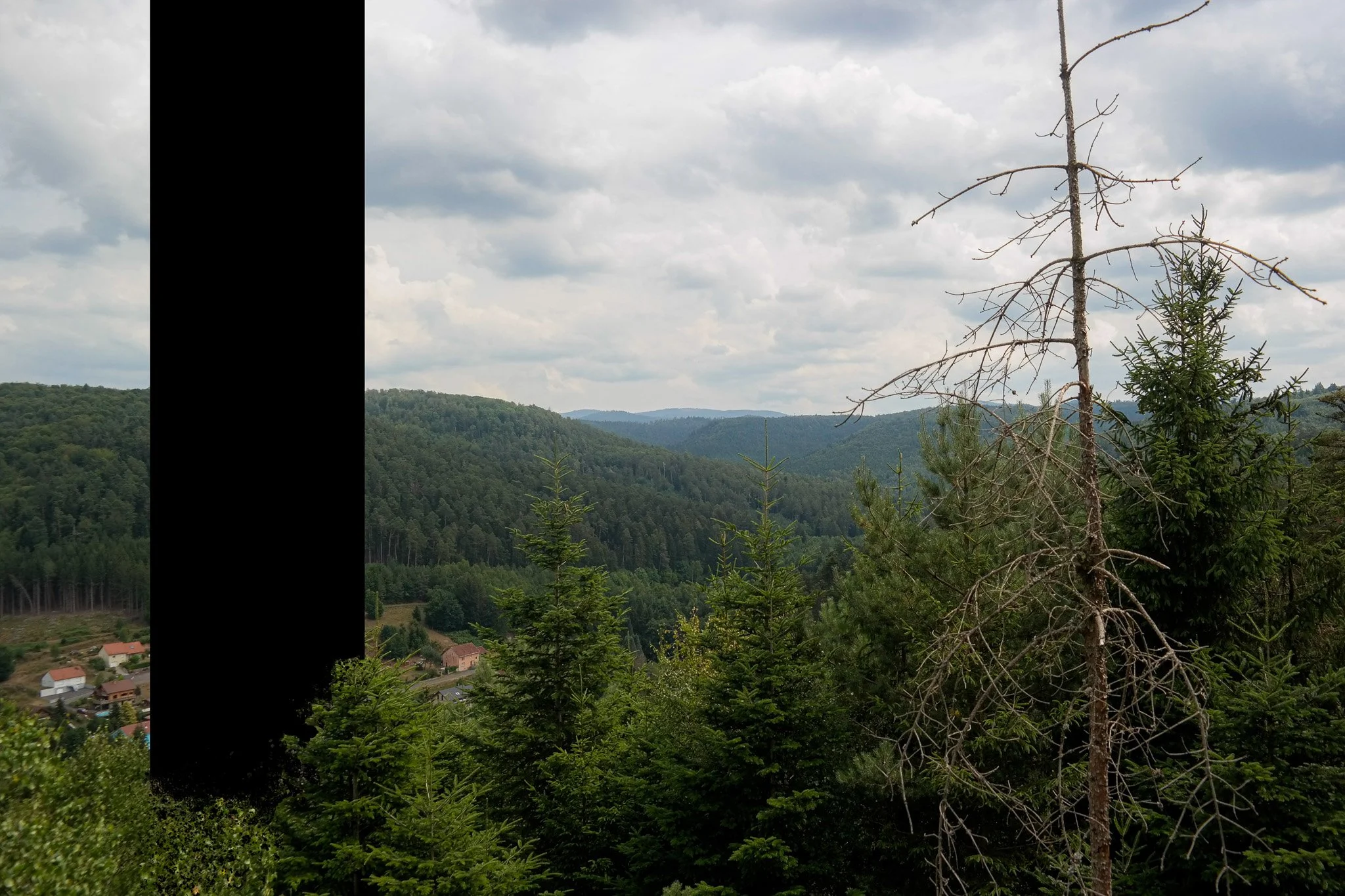 _6110057-Edit.jpg