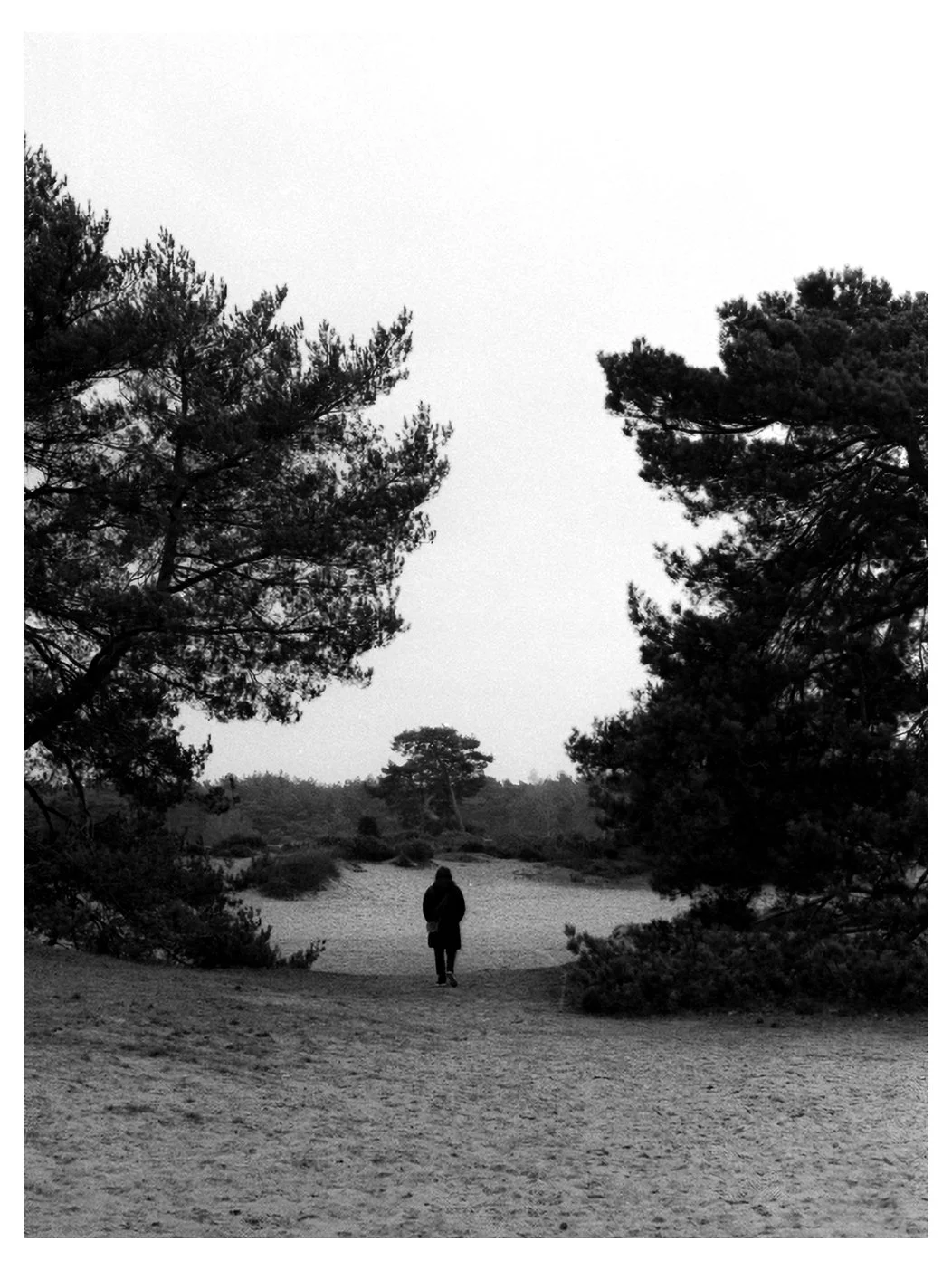 Scan25 (3)-Edit.jpg