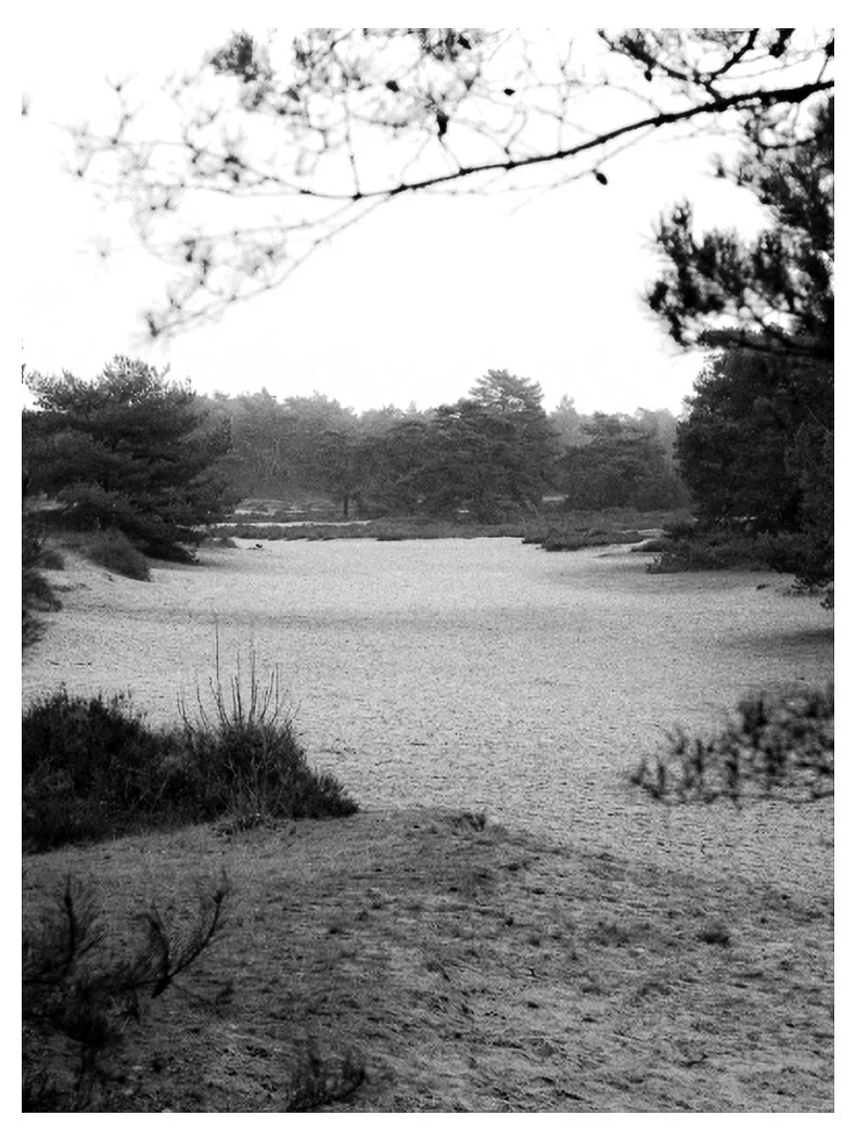 Scan25 (2)-Edit.jpg