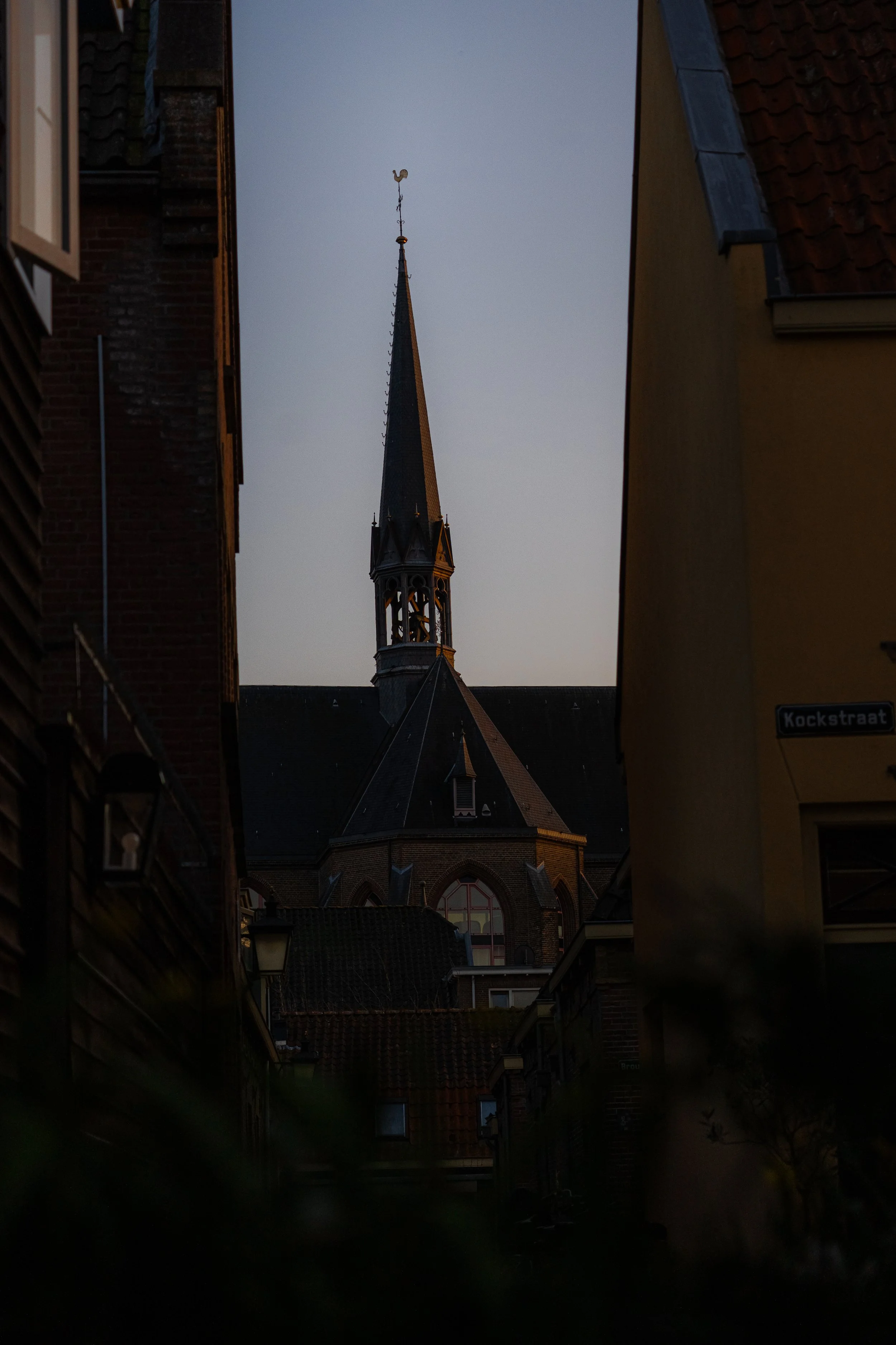 _DSC0037.jpg