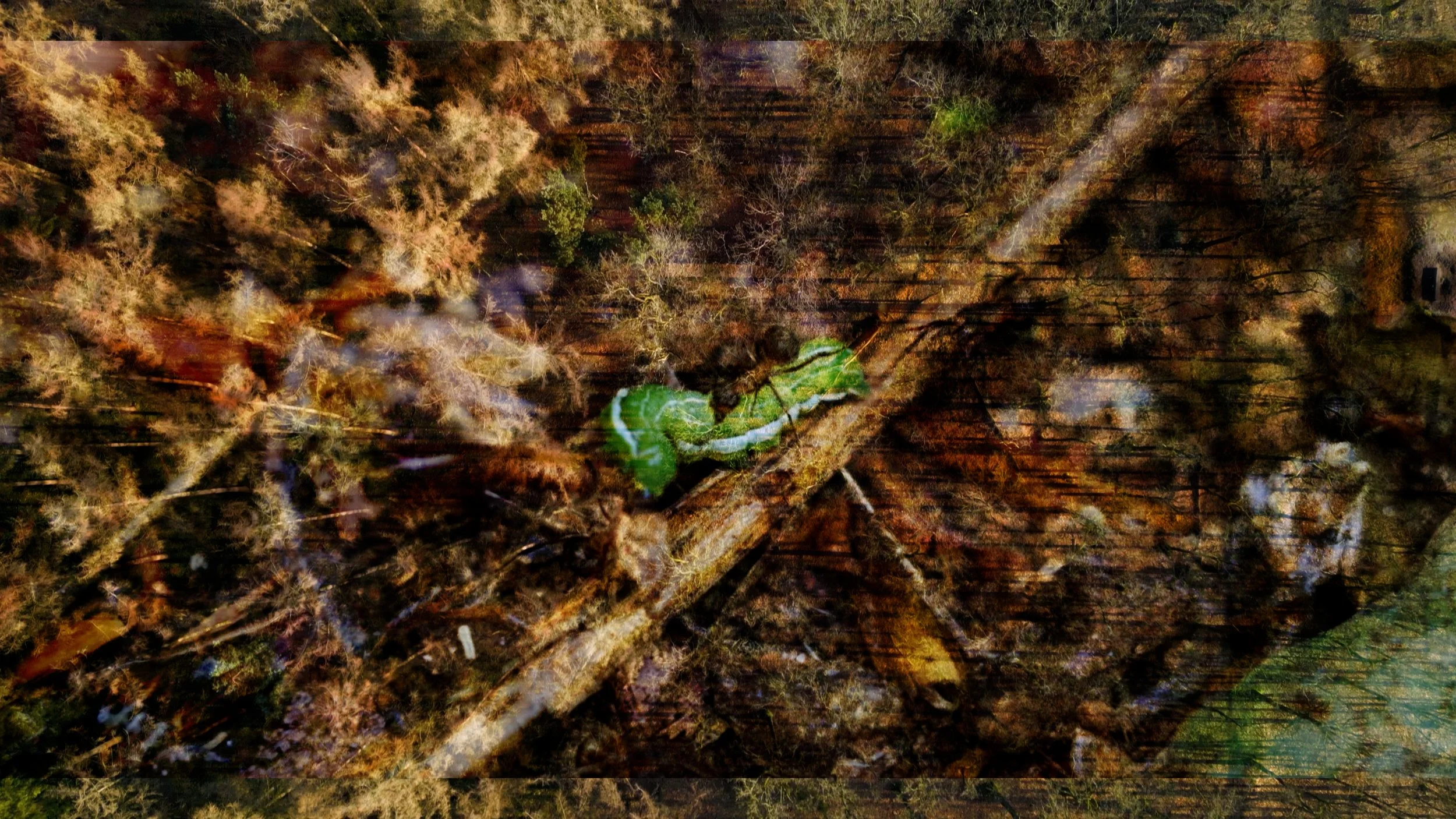 MAIN_COMP.00_01_54_20.Still025.jpg