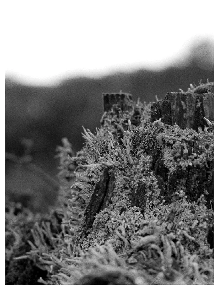 Scan04-Edit.jpg