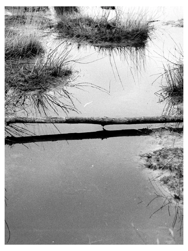 Scan05-Edit.jpg
