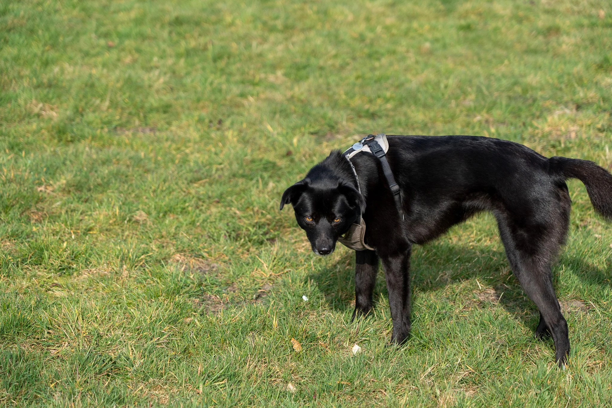 _DSC0642-2-2.jpg