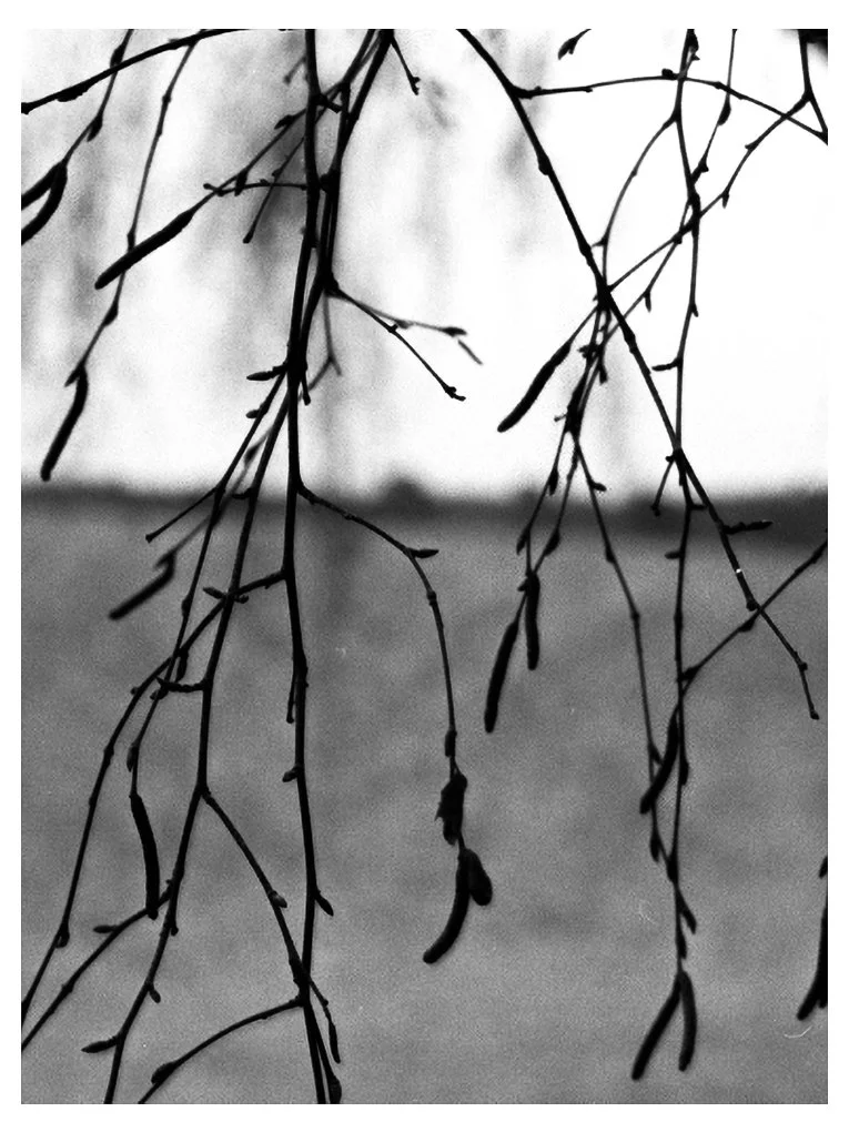 Scan14-Edit.jpg