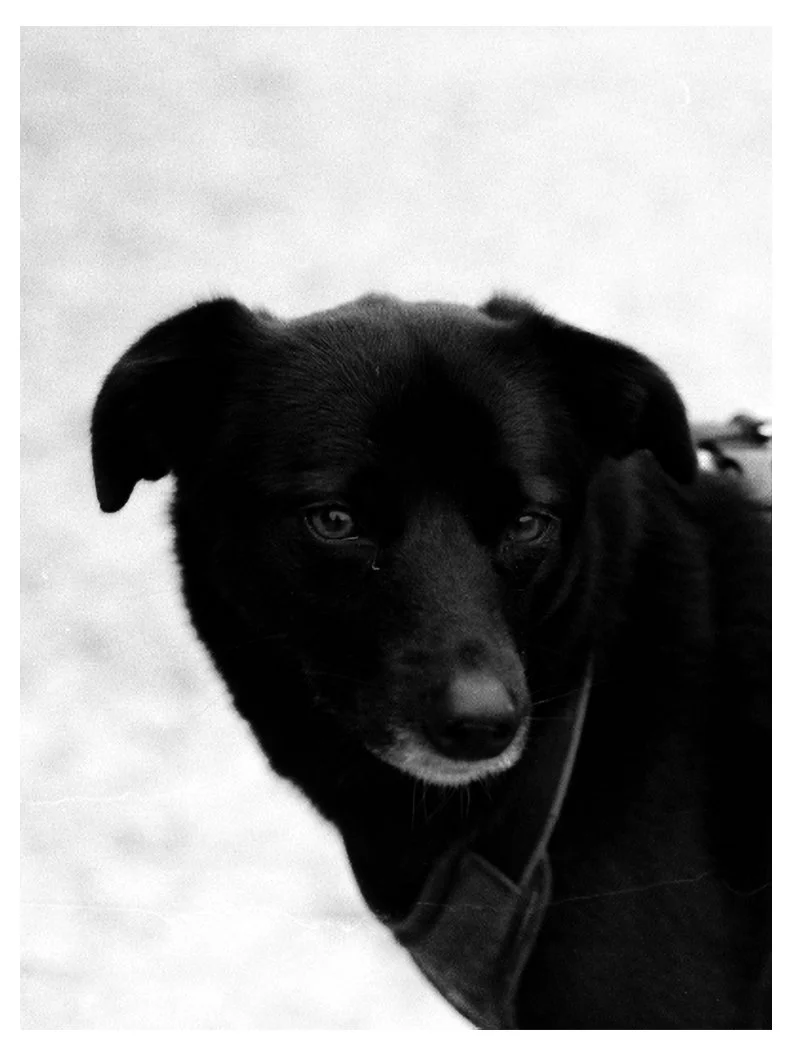 Scan08-Edit.jpg