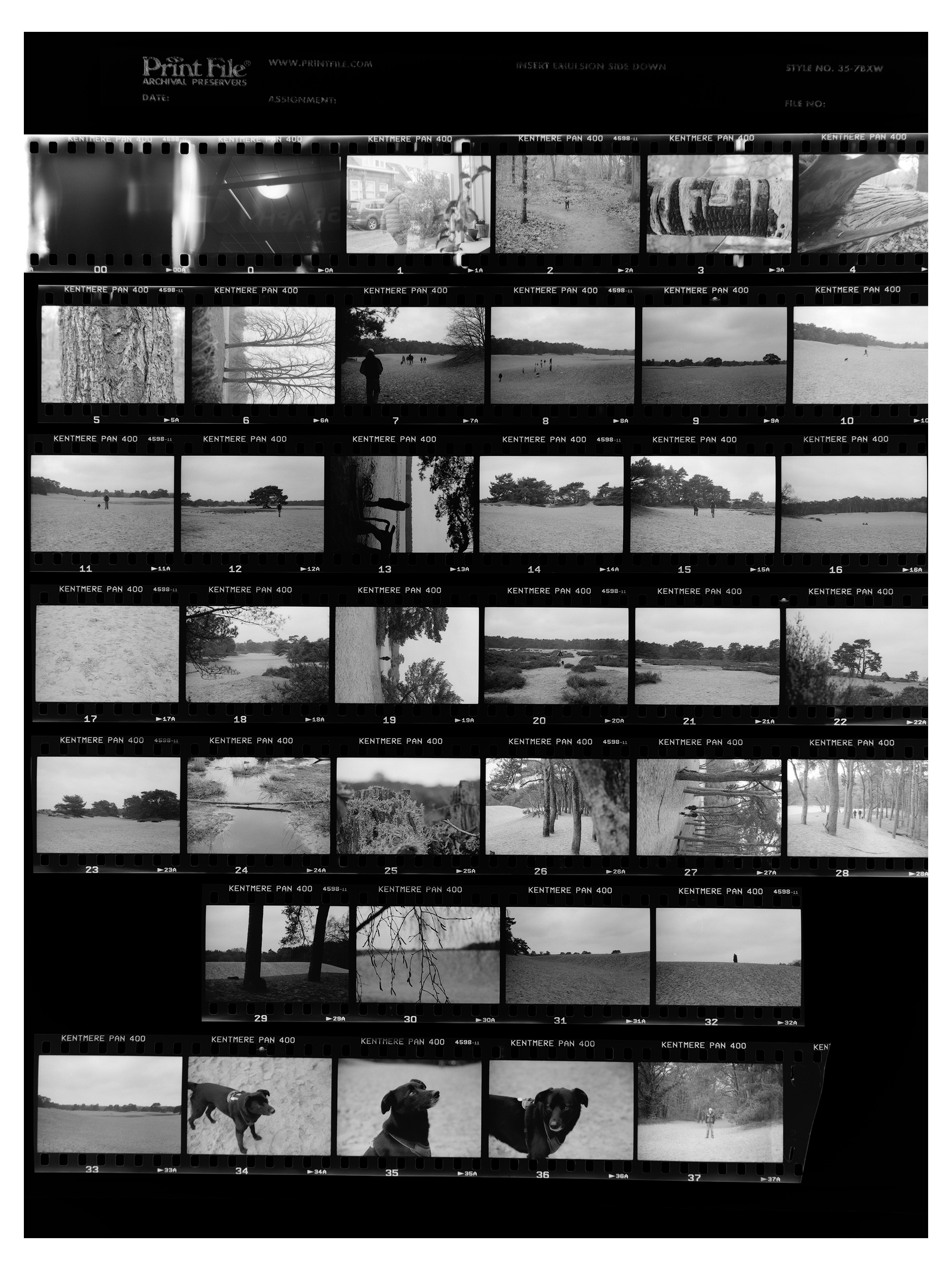 Analoge fotografie