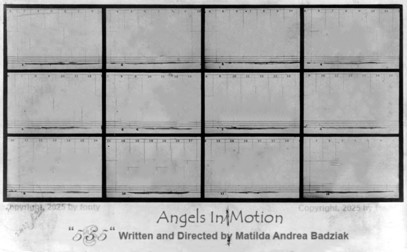 Reference to 'horses in motion', customized graphic for '555' trailer