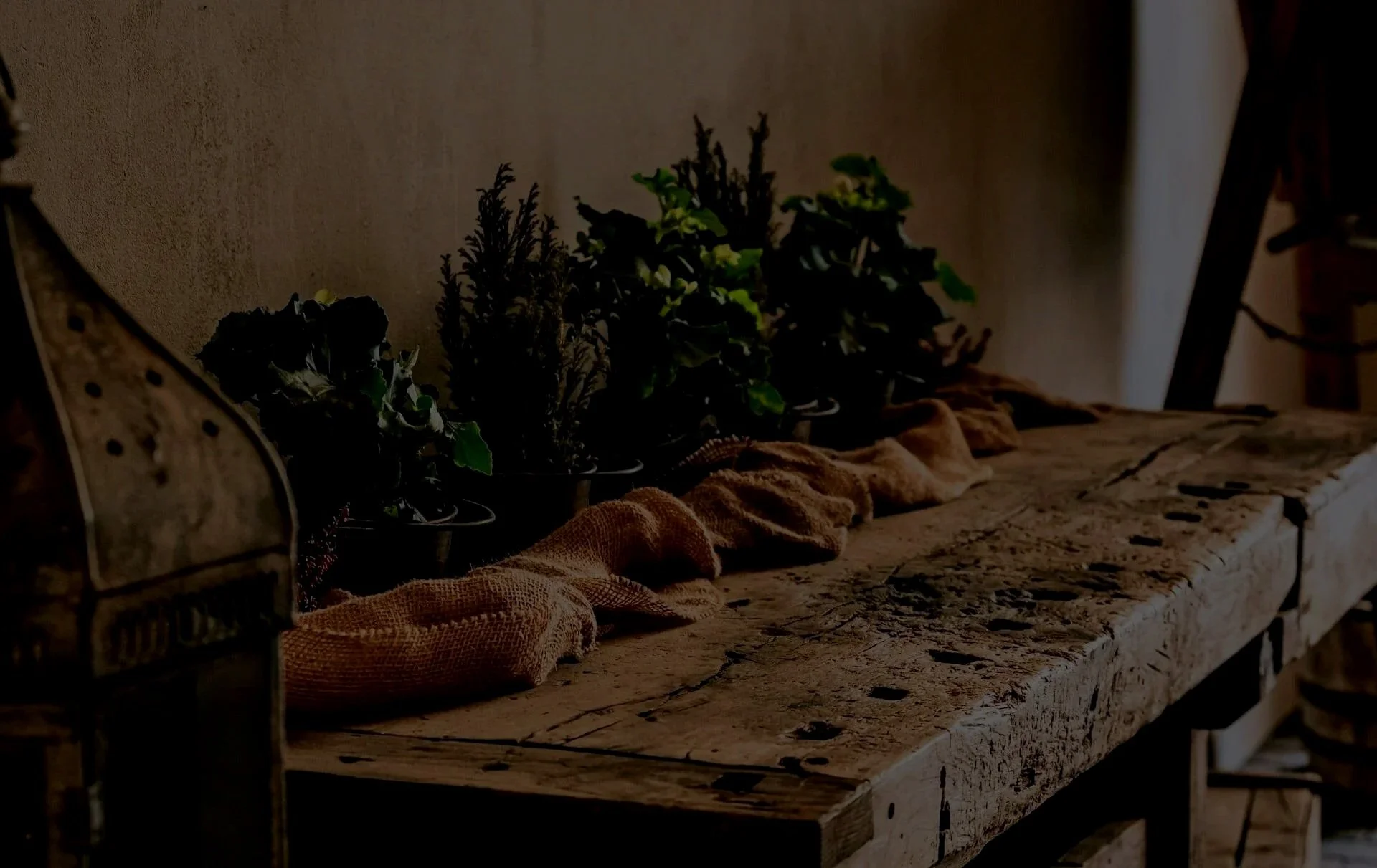 Groene planten en jute kleed op houten tafel wat symbool staat voor een serene basis tijdens het basistraject