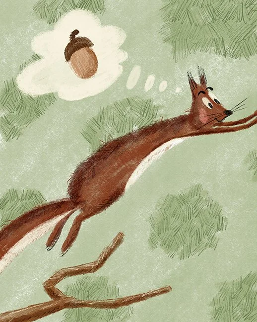 Acorn - more reduced.jpg