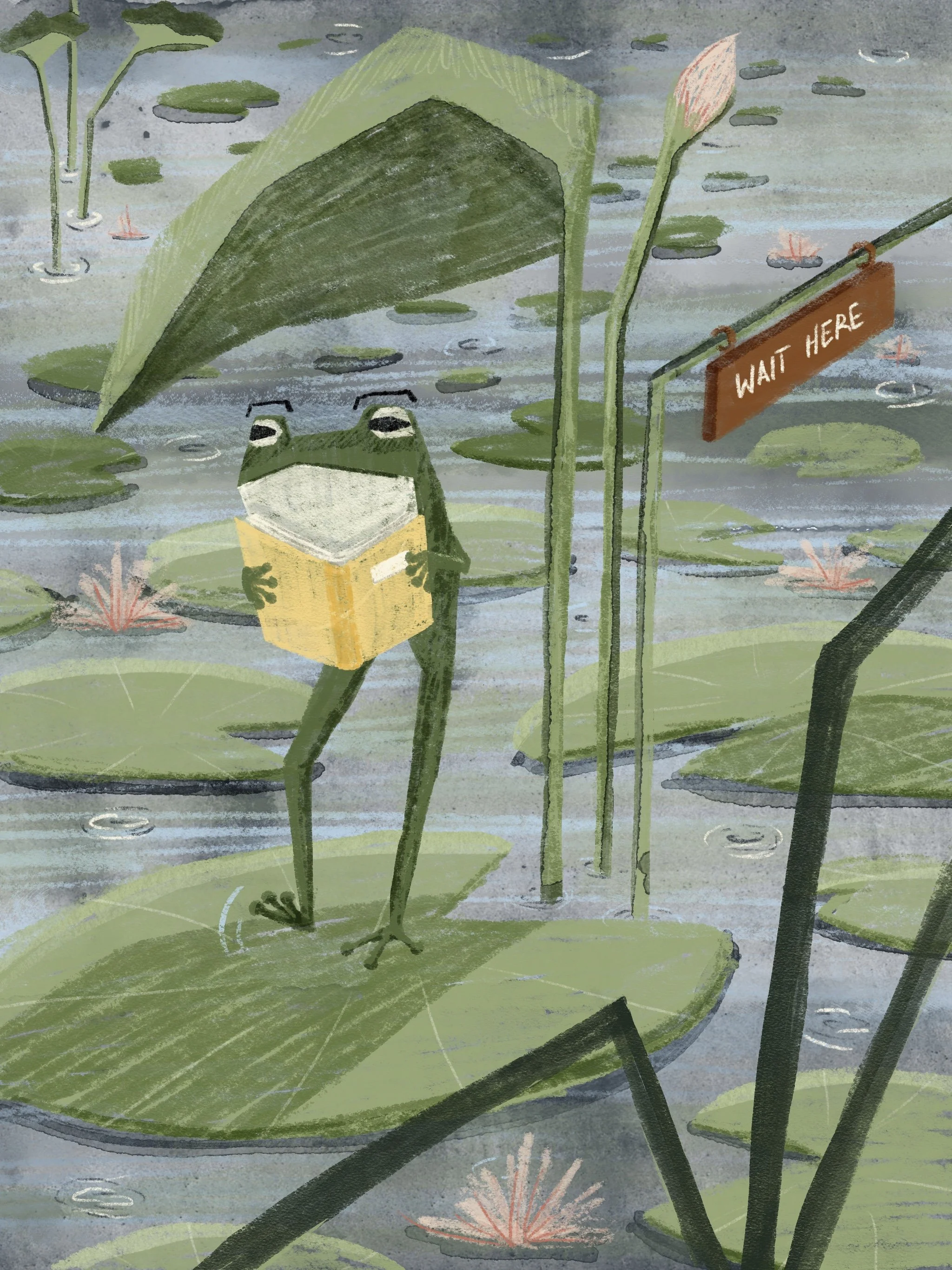 Frog character waiting to be picked up