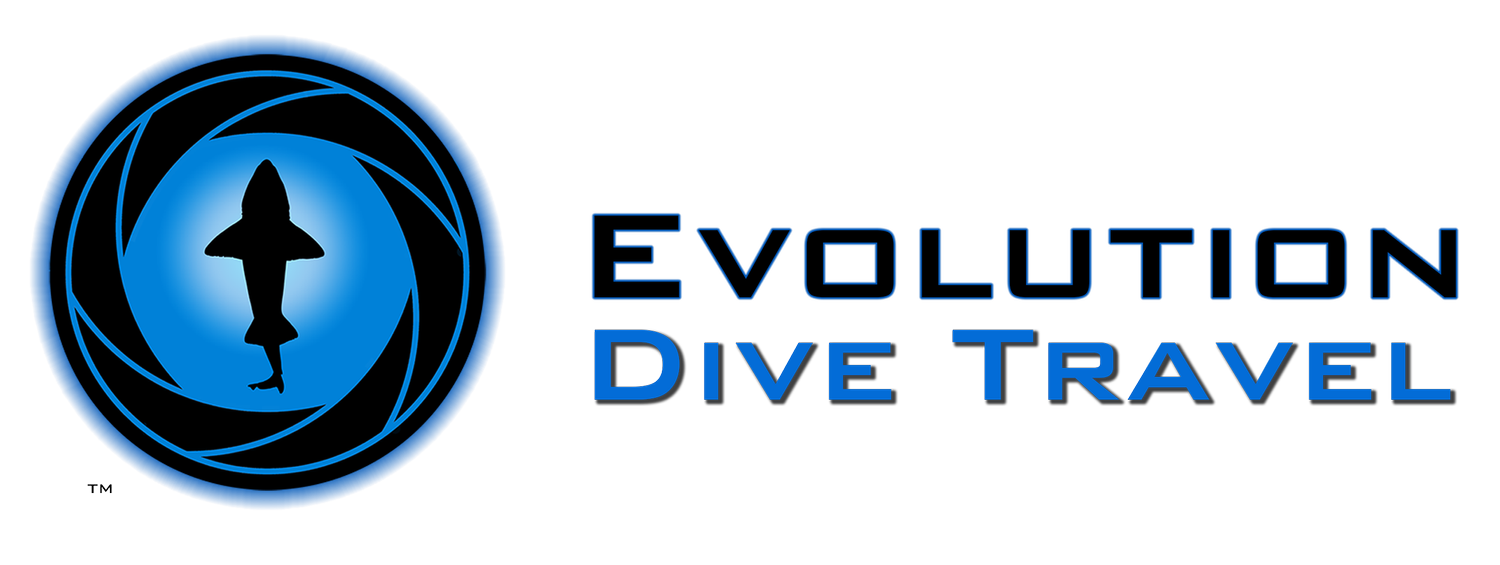 Evolution Dive Travel