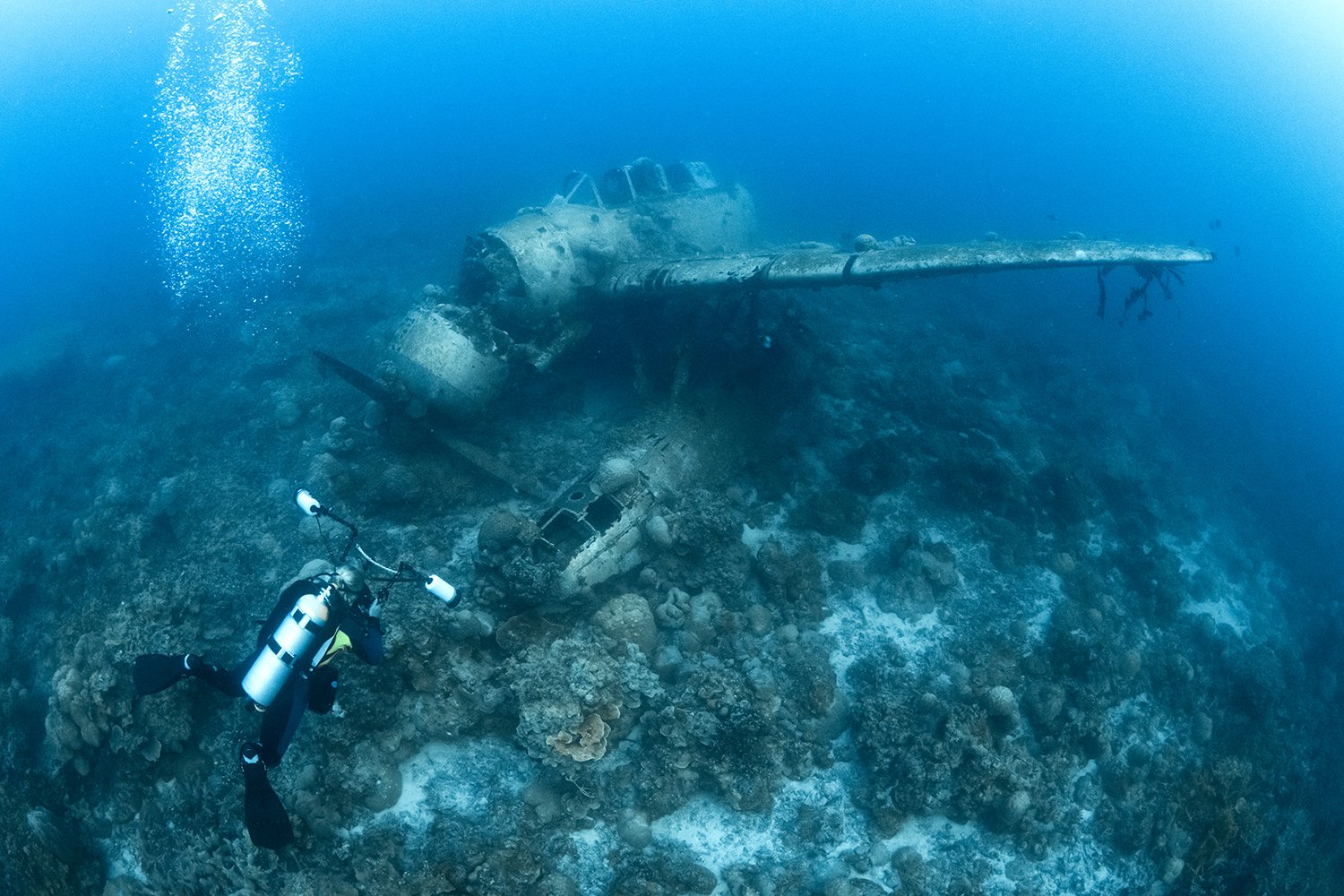 A scuba diver exploring the wreckage of a sunken airplane on the ocean floor.