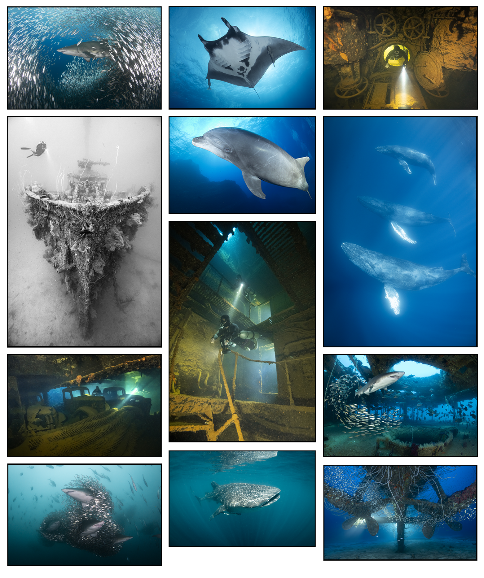 A collage of underwater scenes showing marine life and submarine wrecks, including sharks, rays, fish, divers exploring shipwrecks and underwater caves, and scenes of aquatic environments with coral reefs.