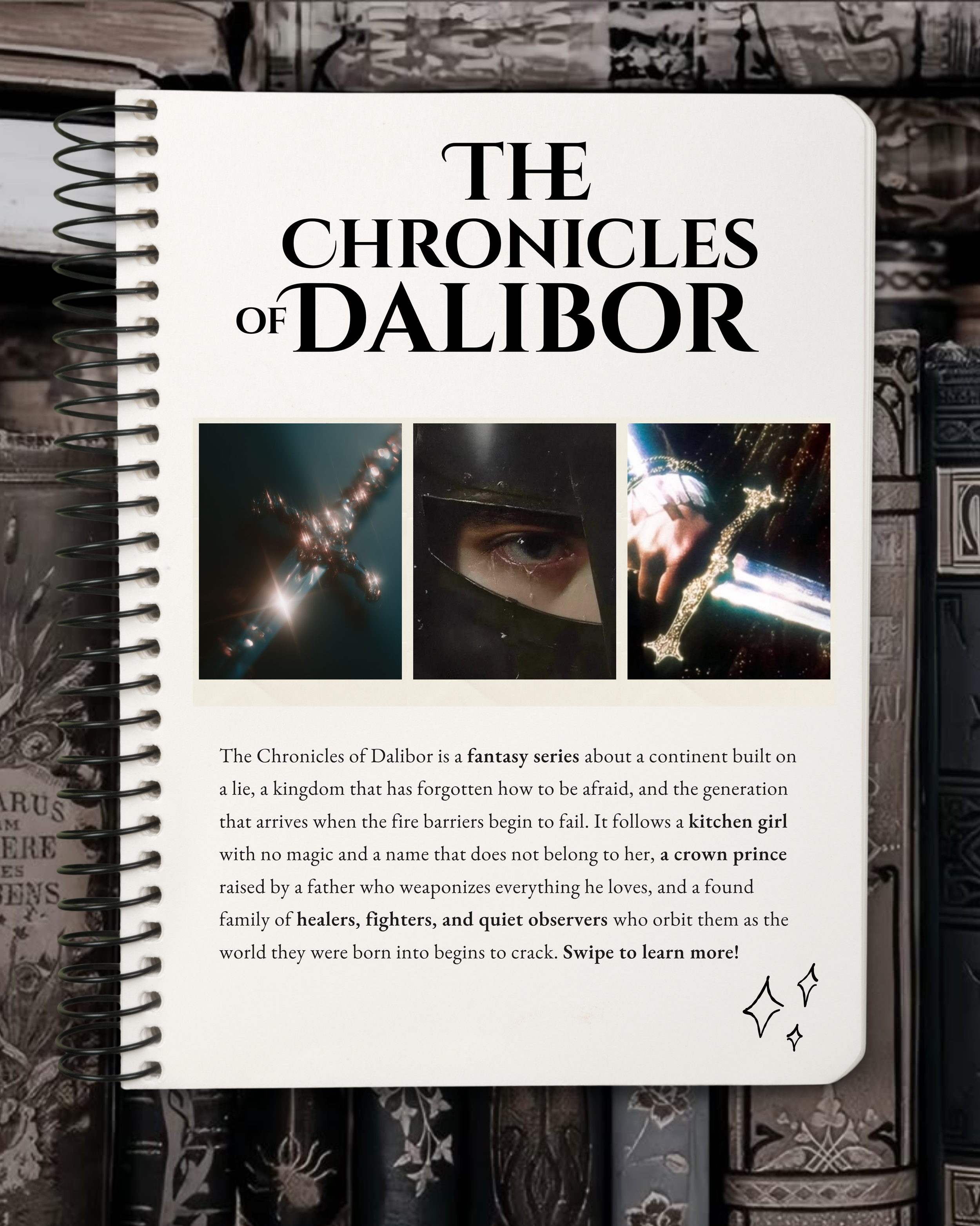 Image of a notebook on a shelf. The notebook has the title "The Chronicles of Dalibor" on the cover, with three small star illustrations at the bottom right. The book is part of a fantasy series; the text describes a fictional continent, a castle, and characters like a kitchen girl, a crown prince, healers, fighters, and quiet obsersers.