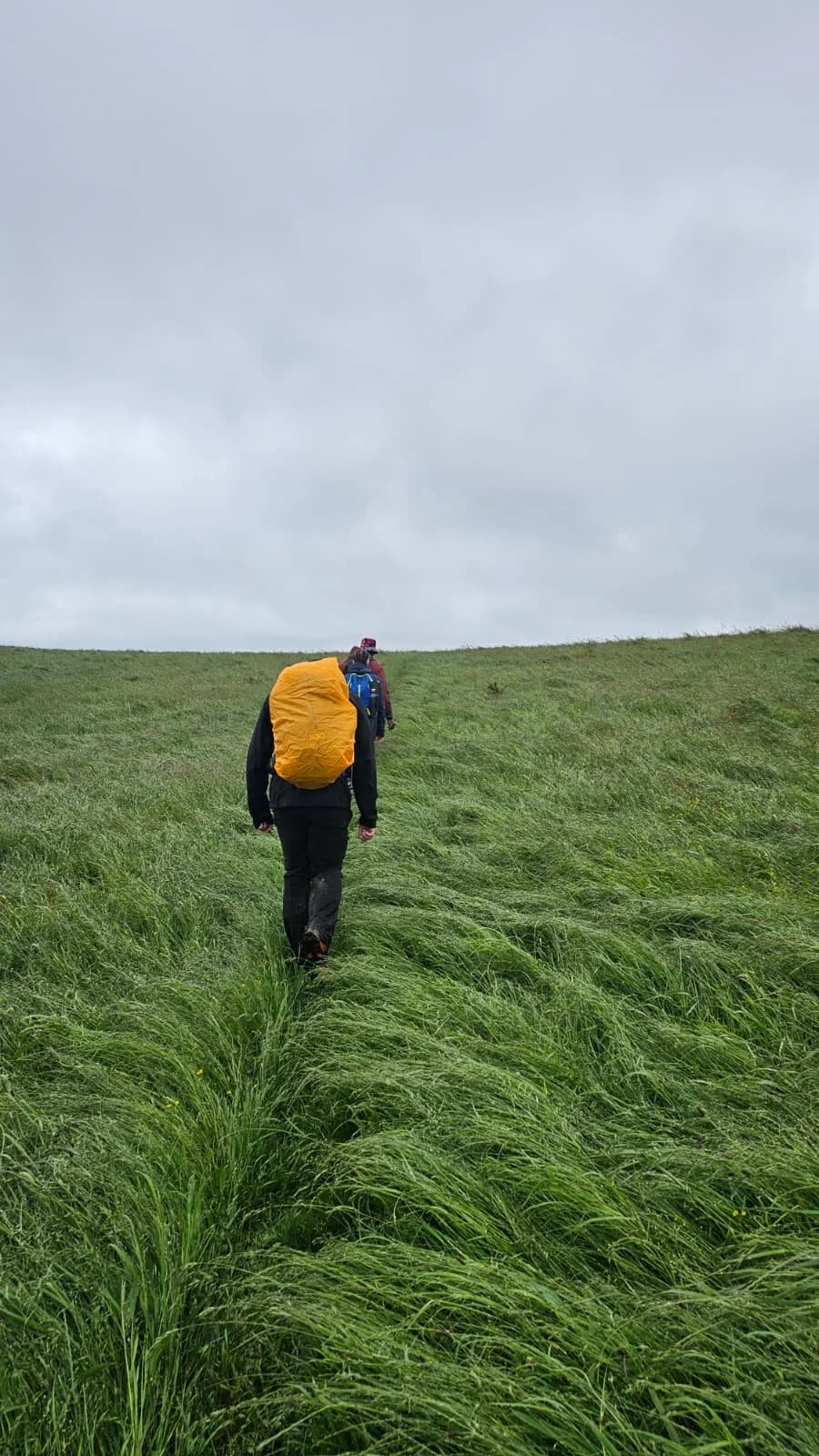 Hikers walking across a grassy field under a cloudy sky, wearing backpacks and outdoor clothing.