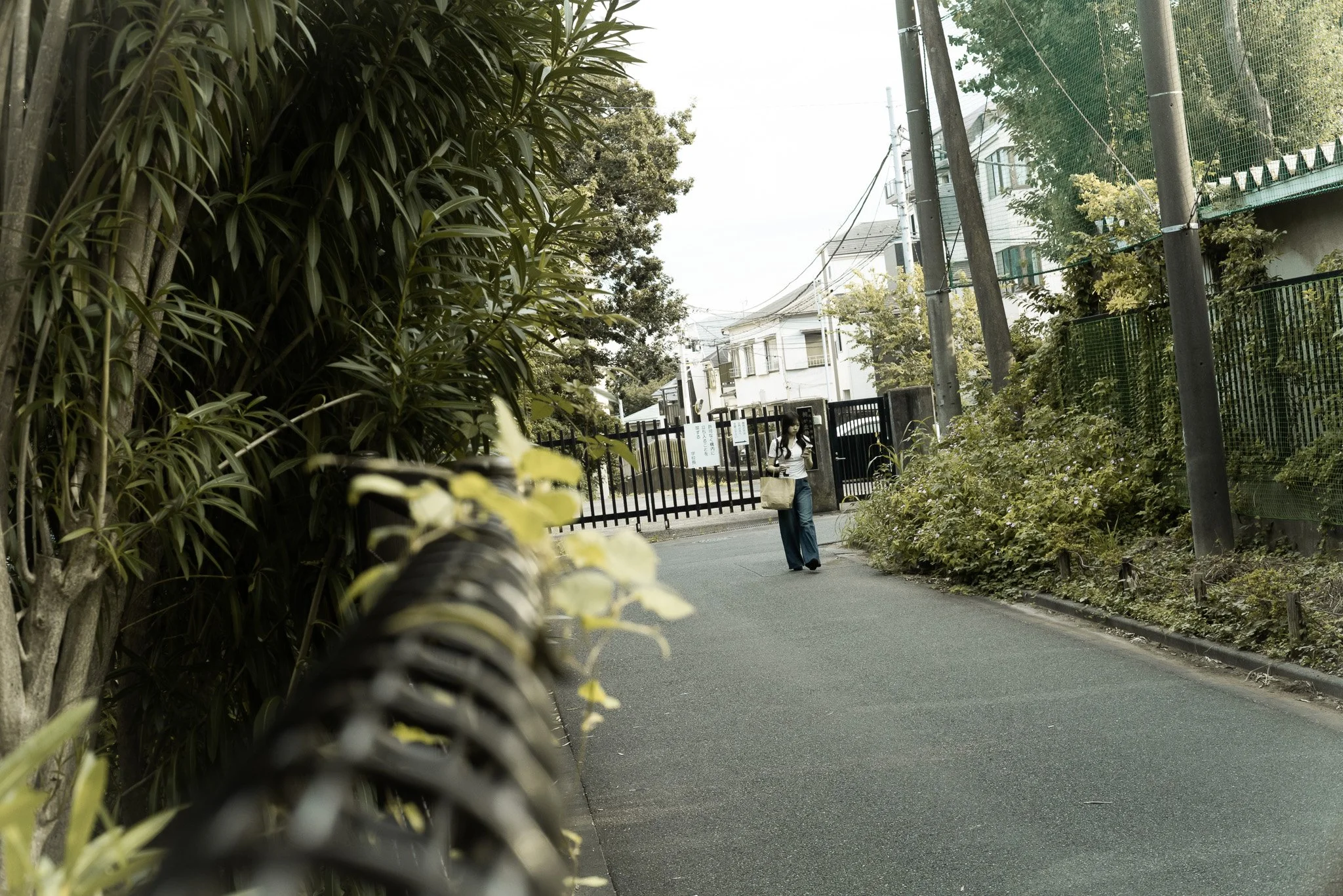 街の歩道を歩く女性の後ろ姿。左側に緑の木々と生垣、右側にはフェンスと電柱。背景に白い建物と空が見える