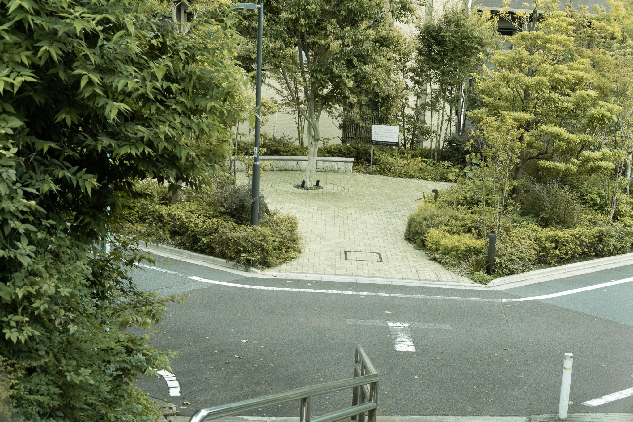 都市の通りと緑豊かな木々、歩道と柵の風景